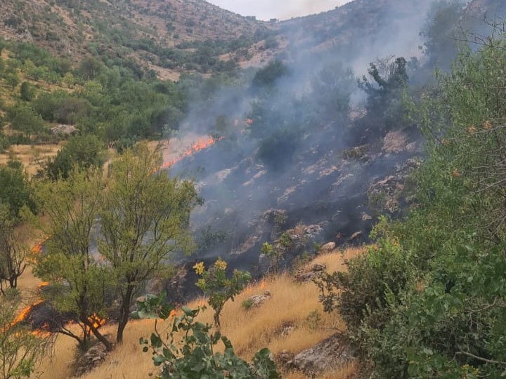 Siirt’te çıkan yangında 2 dönüm arazi zarar gördü
