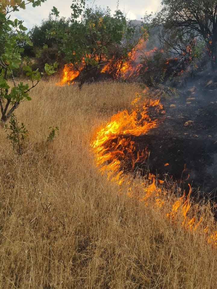 Siirt&rsquo;te &ccedil;ıkan yangında 2 d&ouml;n&uuml;m arazi zarar g&ouml;rd&uuml;
