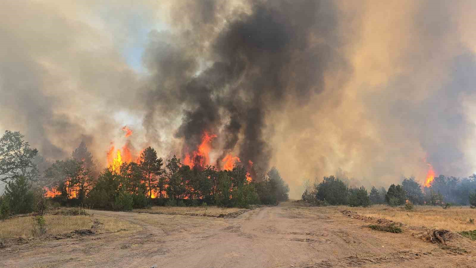30 kilometre çapında yayılan yangında bin 306 kişi tahliye edildi