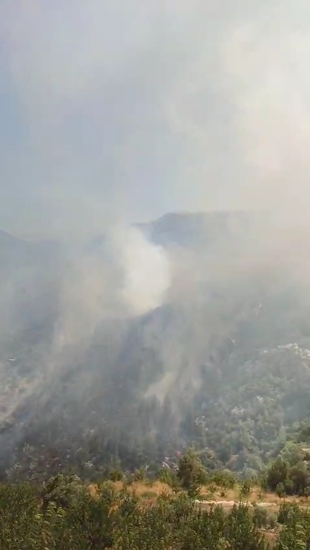 Antalya’da orman yangını