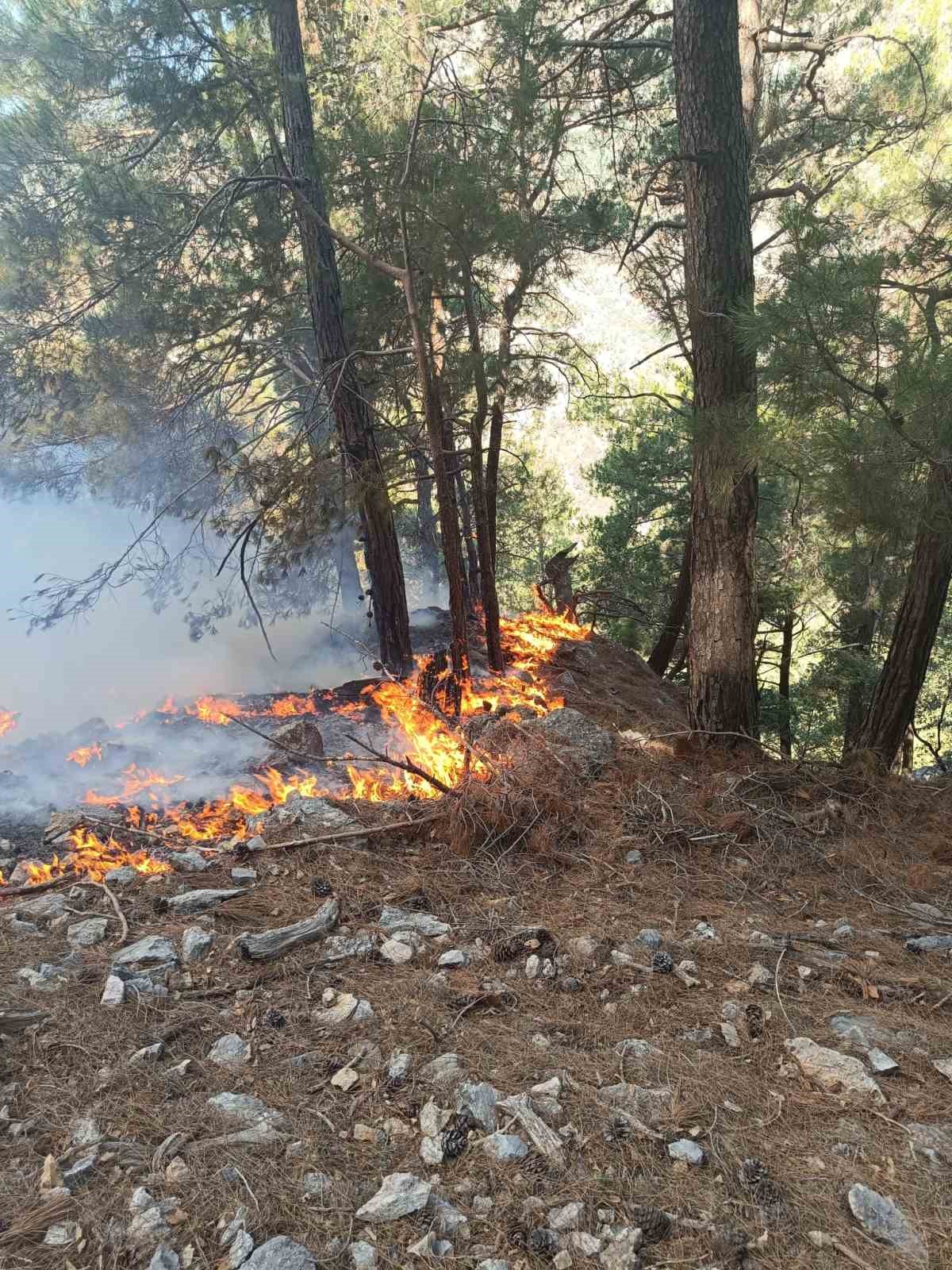Kozan’da ormanlık alanda yangın çıktı