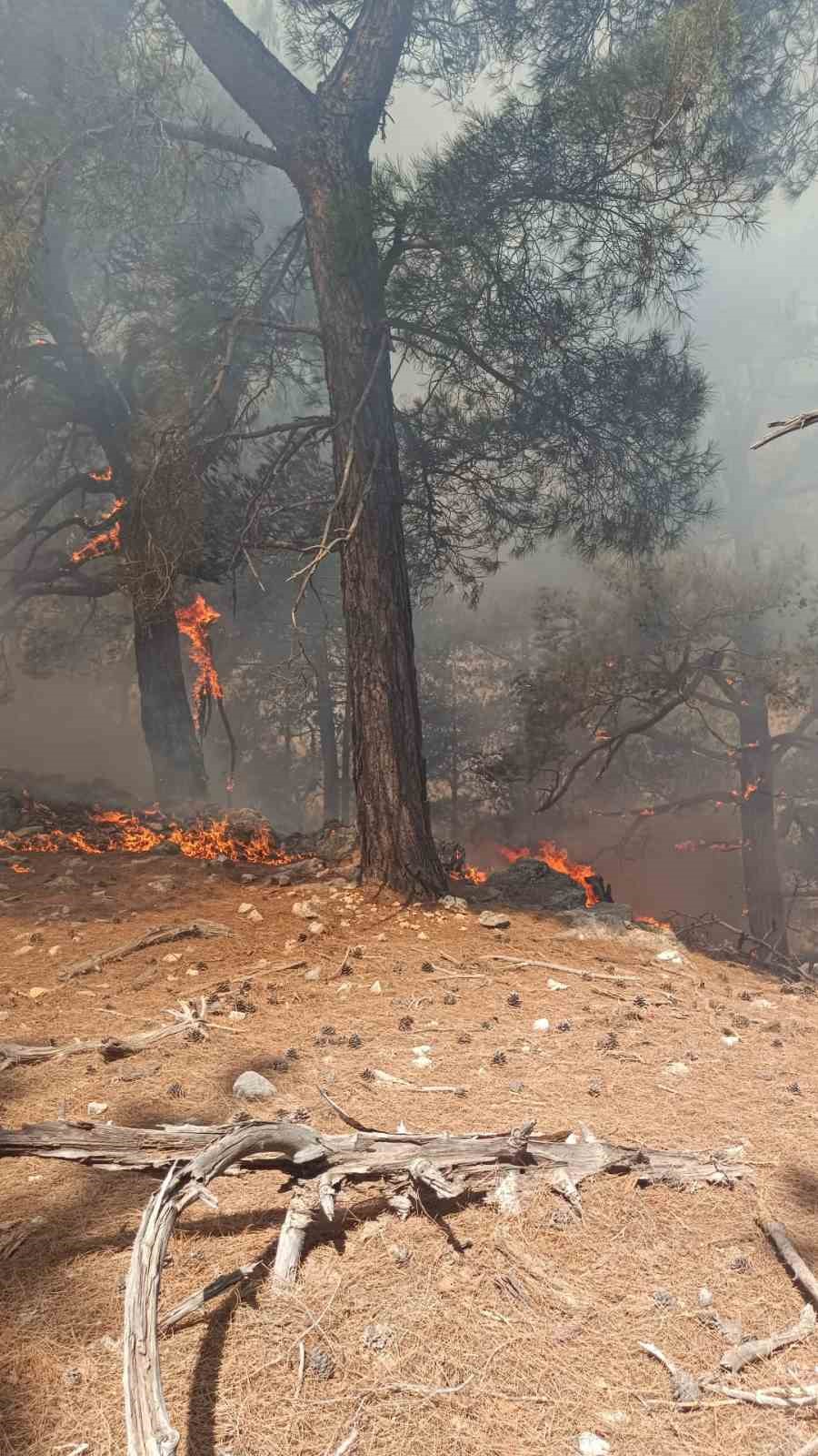 Kozan&rsquo;da ormanlık alanda yangın &ccedil;ıktı
