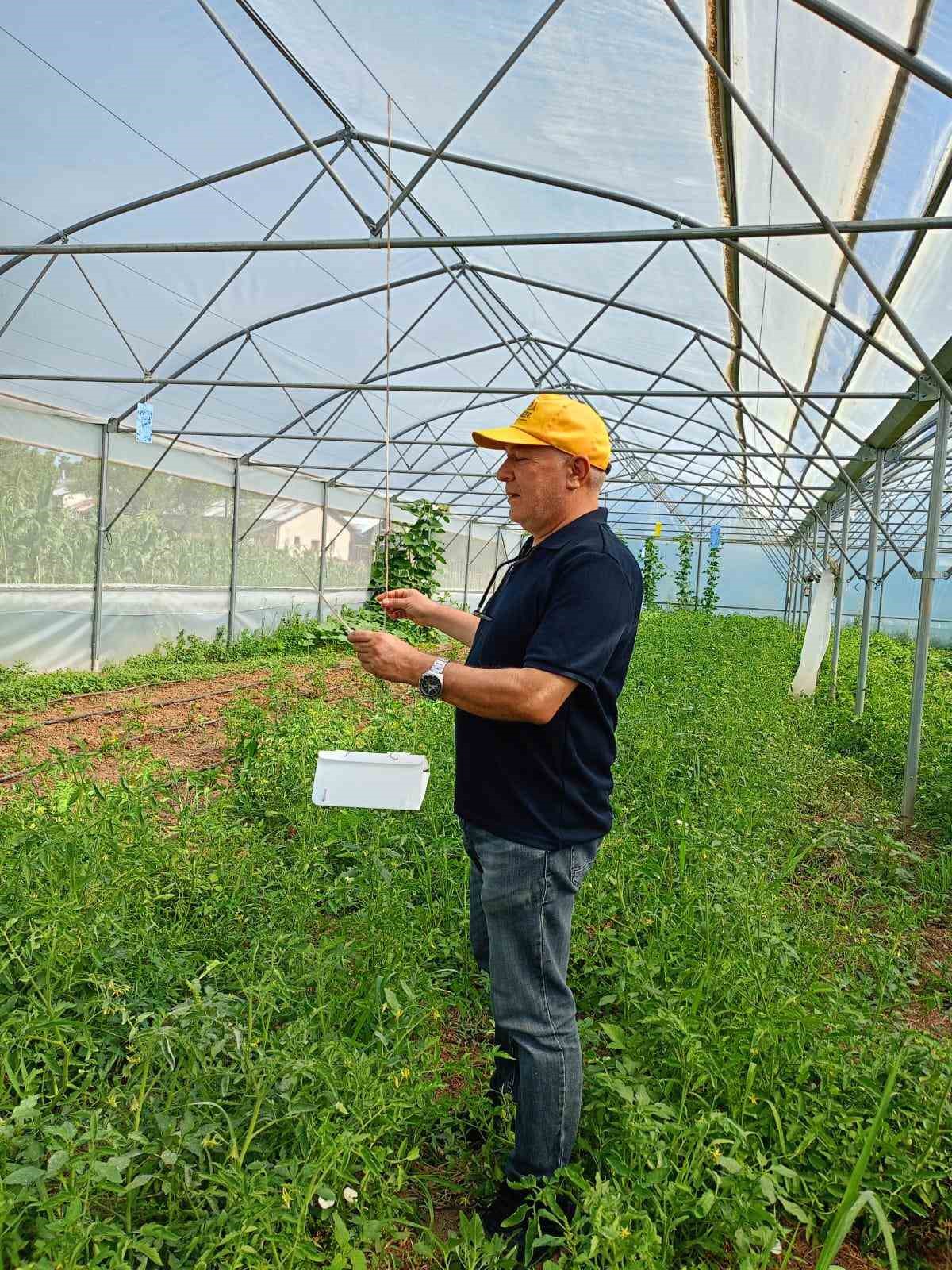 Beyşehir&rsquo;de patates ekili alanlarda zararlı alarmı
