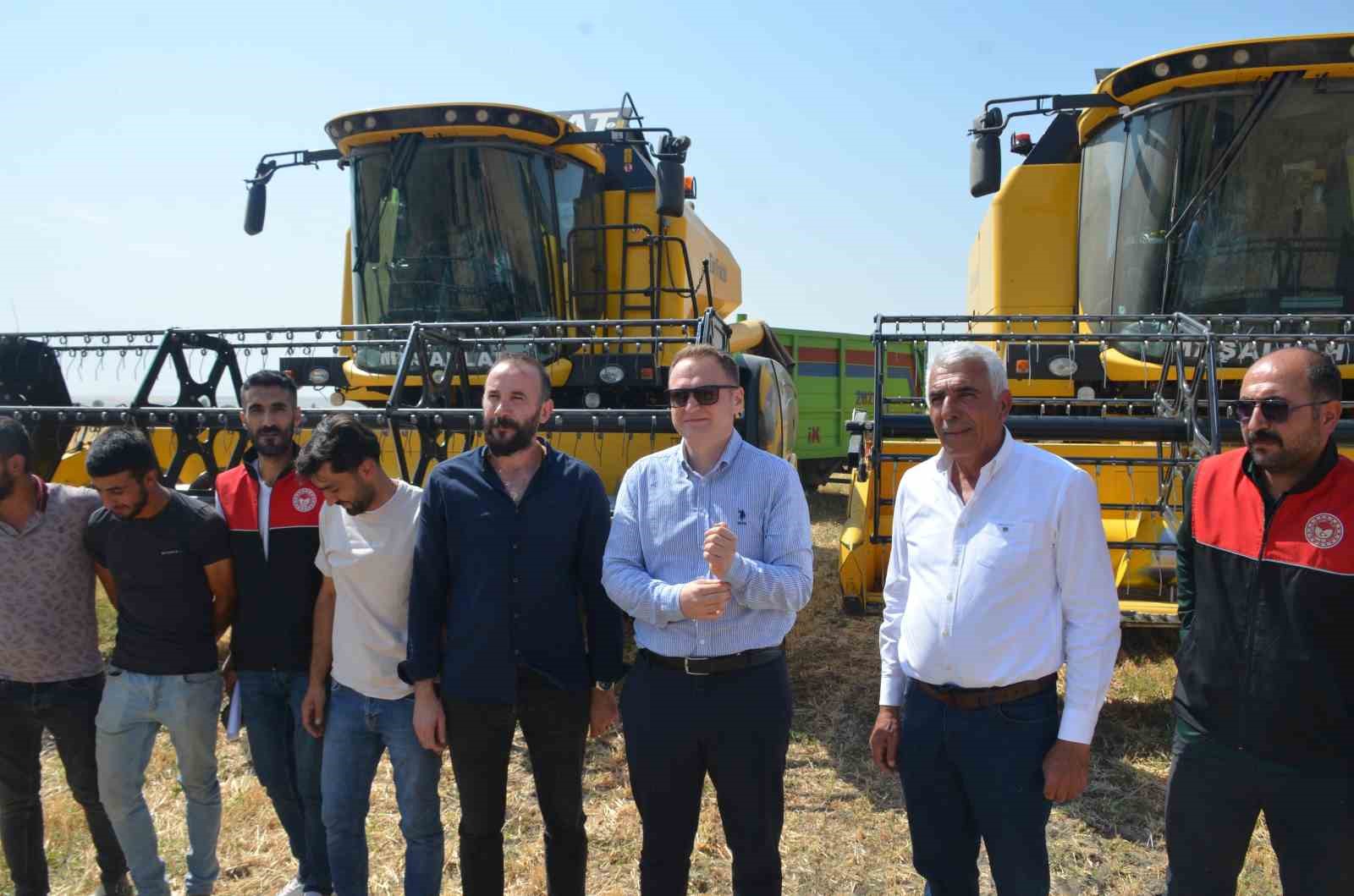 Bulanık&rsquo;ta hububat hasadı başladı
