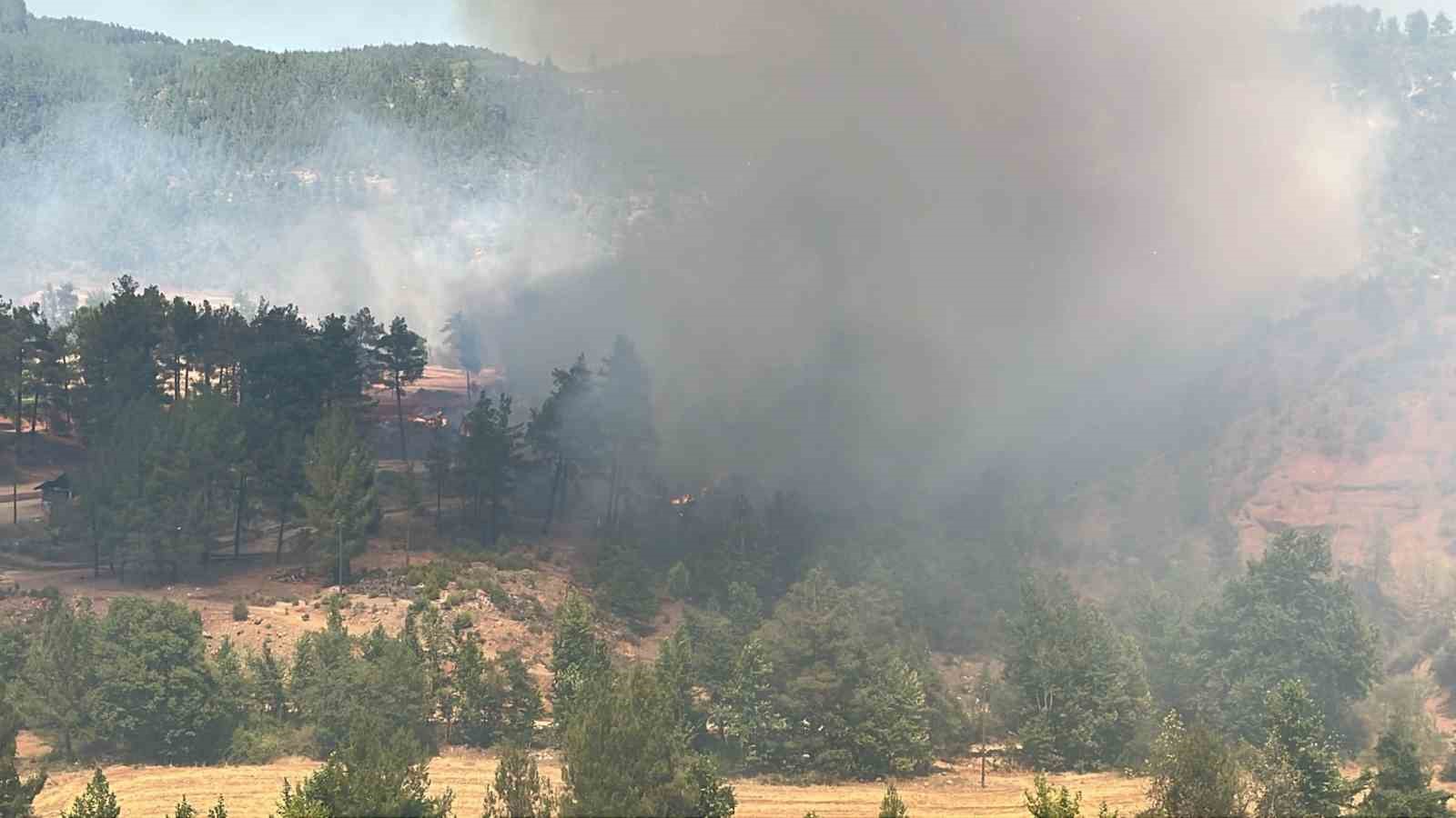 Denizli’de orman yangını