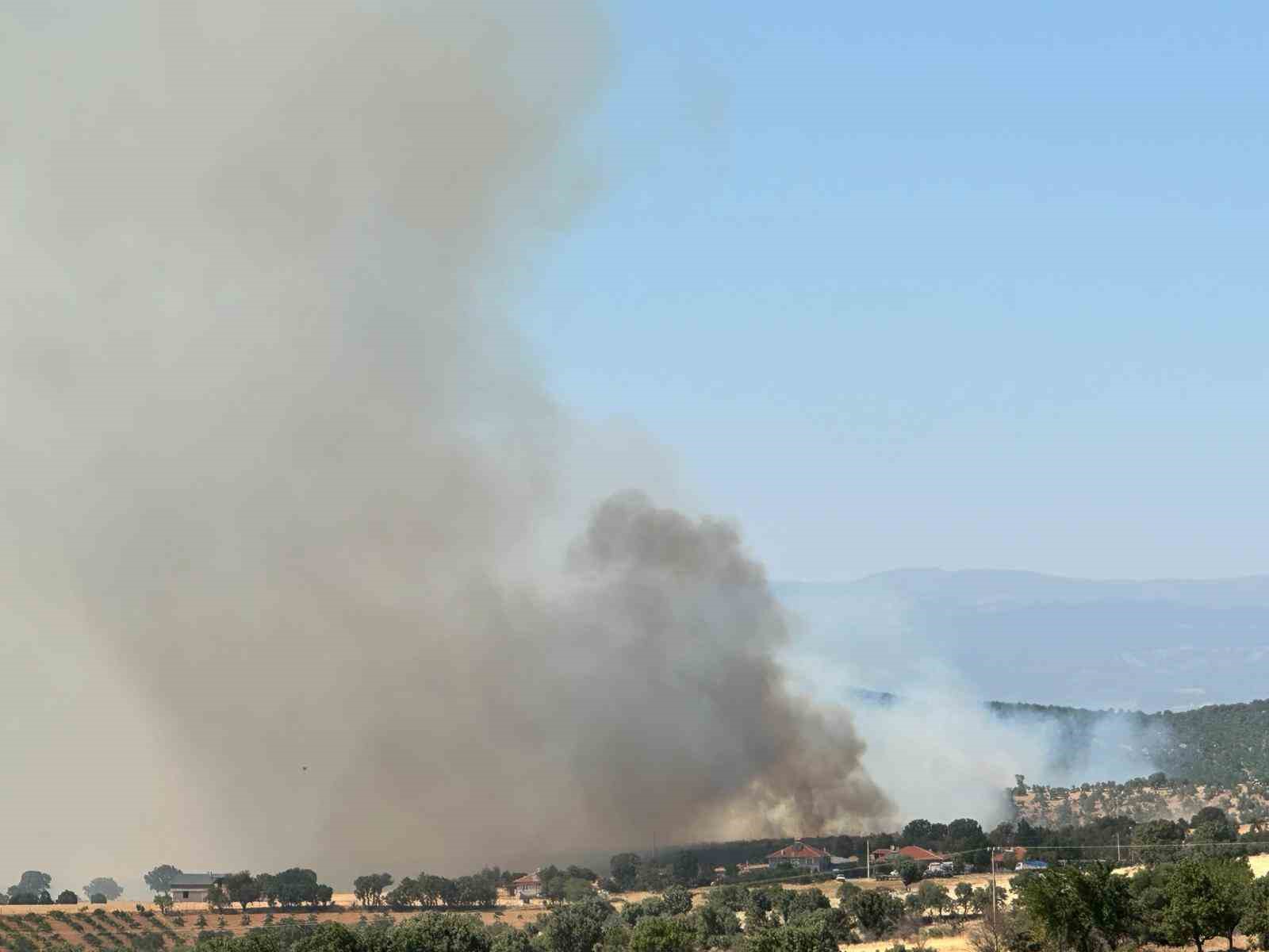 Uşak’ta meşelik alanda yangın çıktı