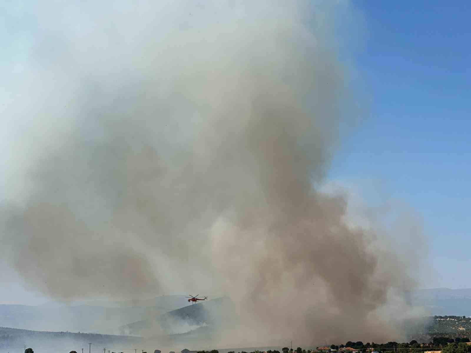 Uşak&rsquo;ta meşelik alanda yangın &ccedil;ıktı
