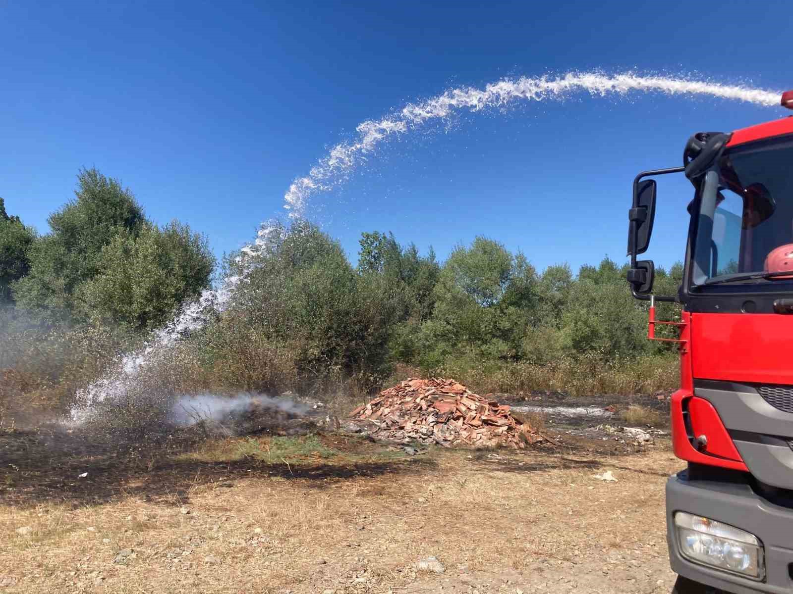 Kavak’ta ot yangını korkuttu