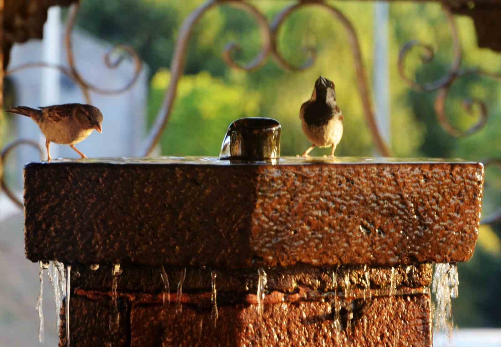 Erzurum ve çevresi için kavurucu sıcaklık uyarısı