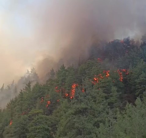 Denizli’de boş evde çıkan yangın ormana sıçradı