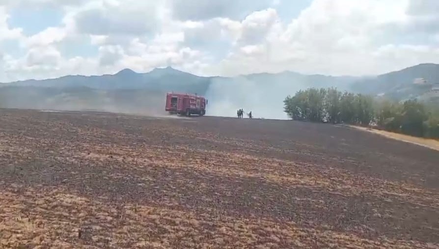 Kartalın elektrik tellerine çarpmasıyla başlayan yangın büyümeden söndürüldü