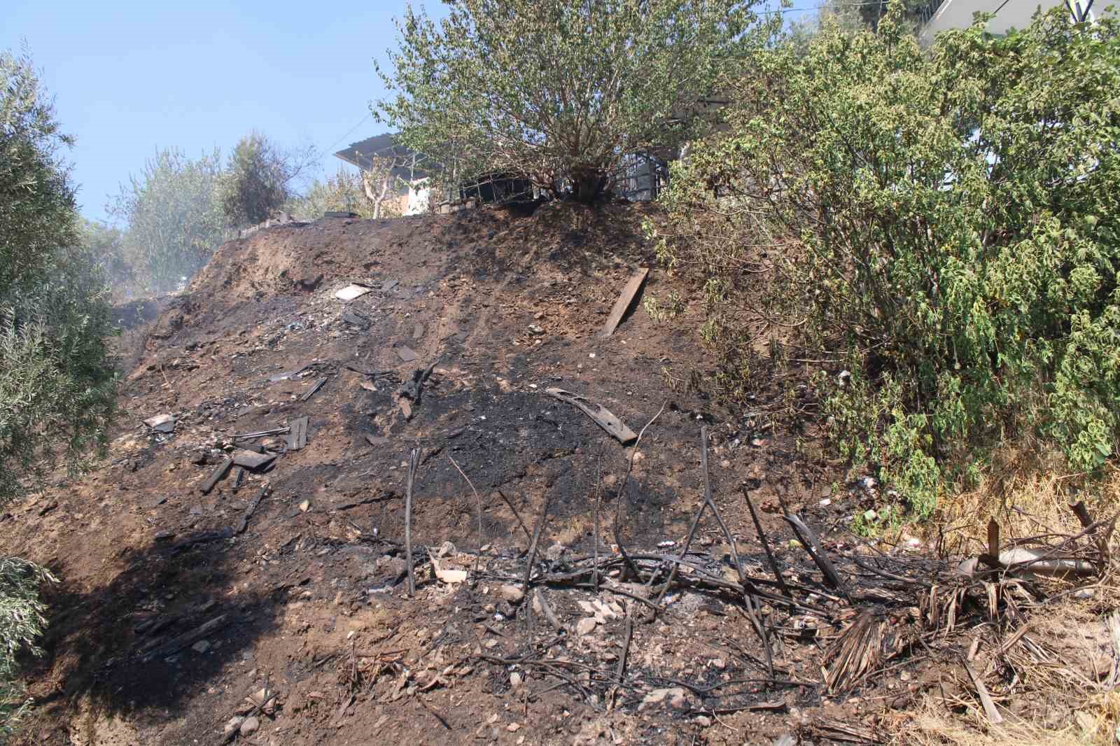 Alevler, evlere ulaşmadan söndürüldü