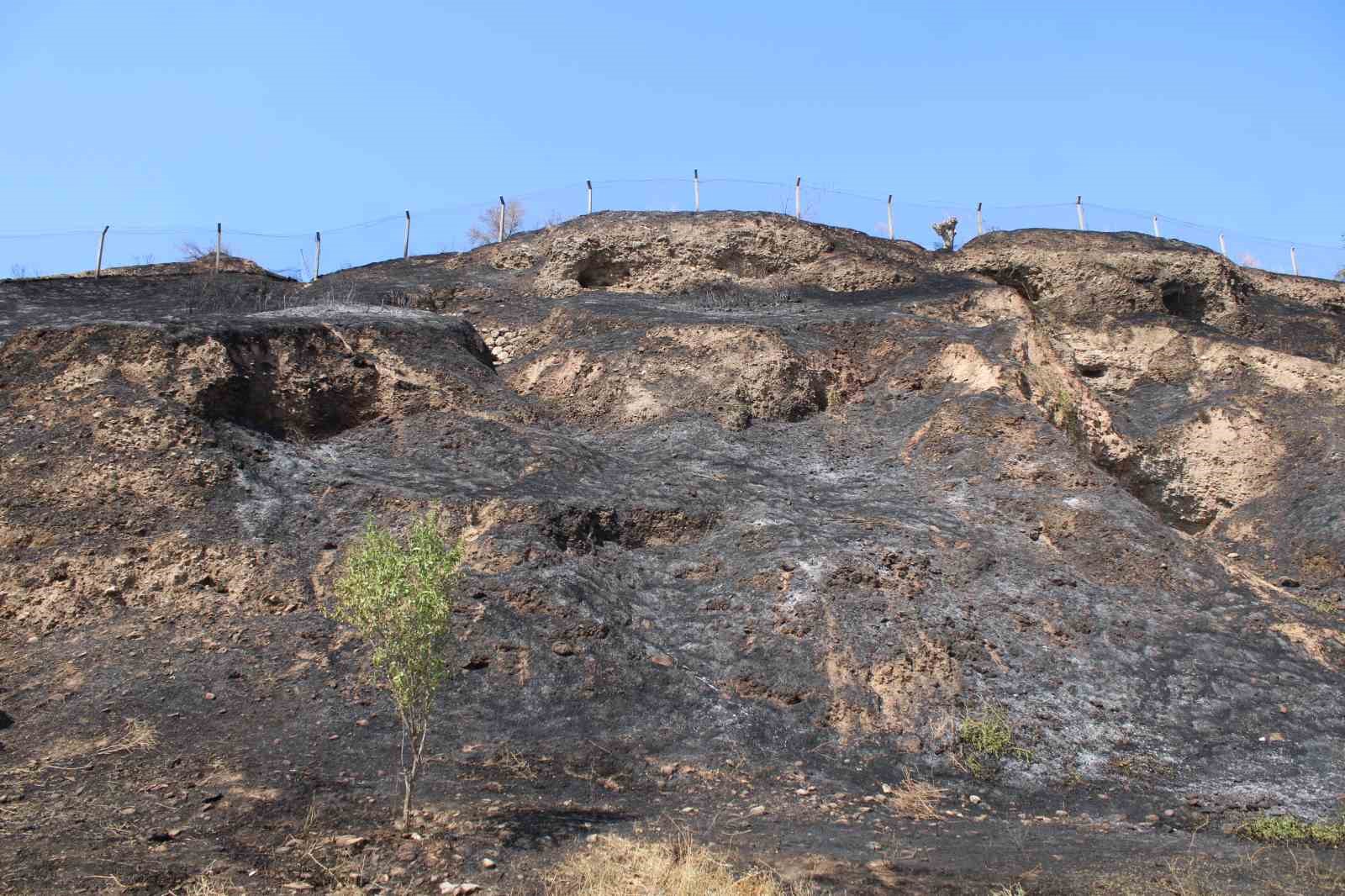 Alevler, evlere ulaşmadan s&ouml;nd&uuml;r&uuml;ld&uuml;
