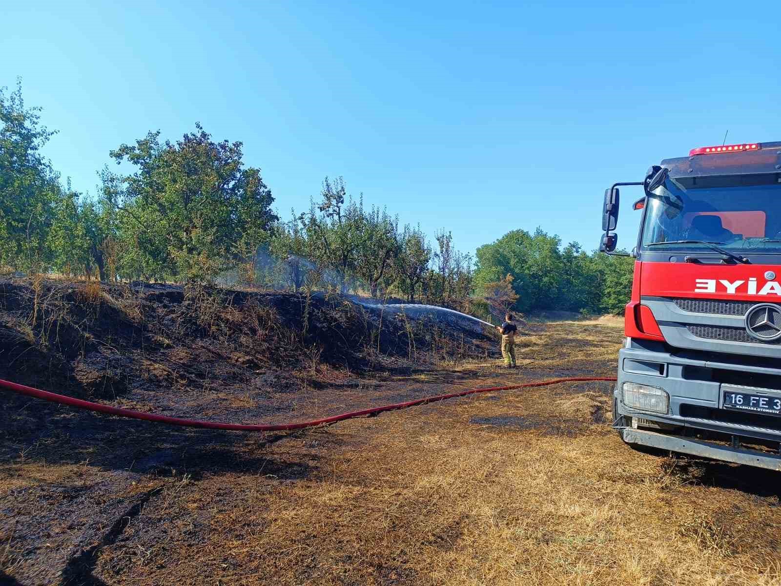 Bursa’da orman yangını