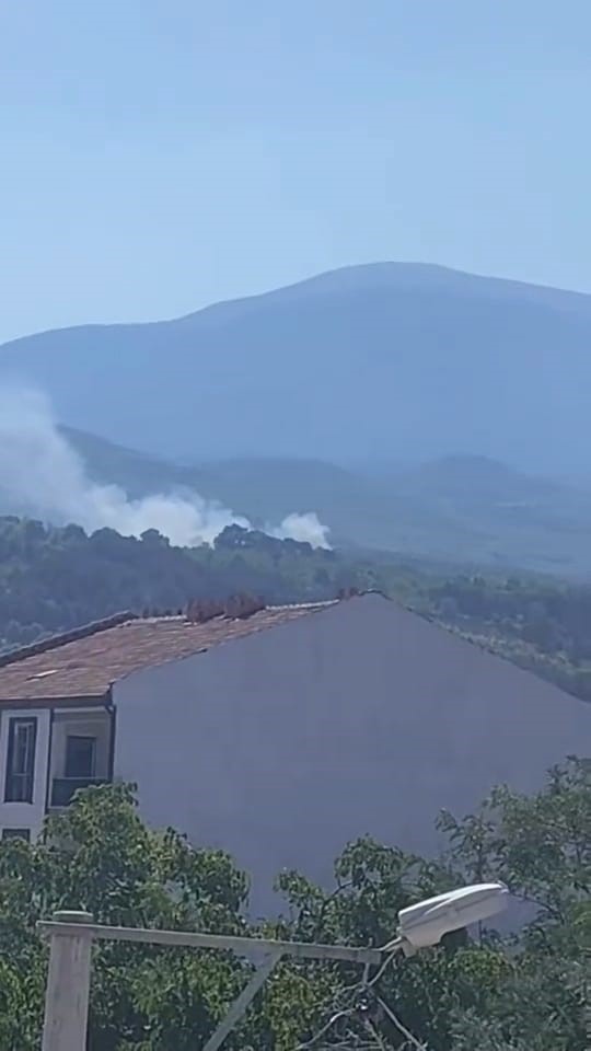 Bursa&rsquo;da orman yangını
