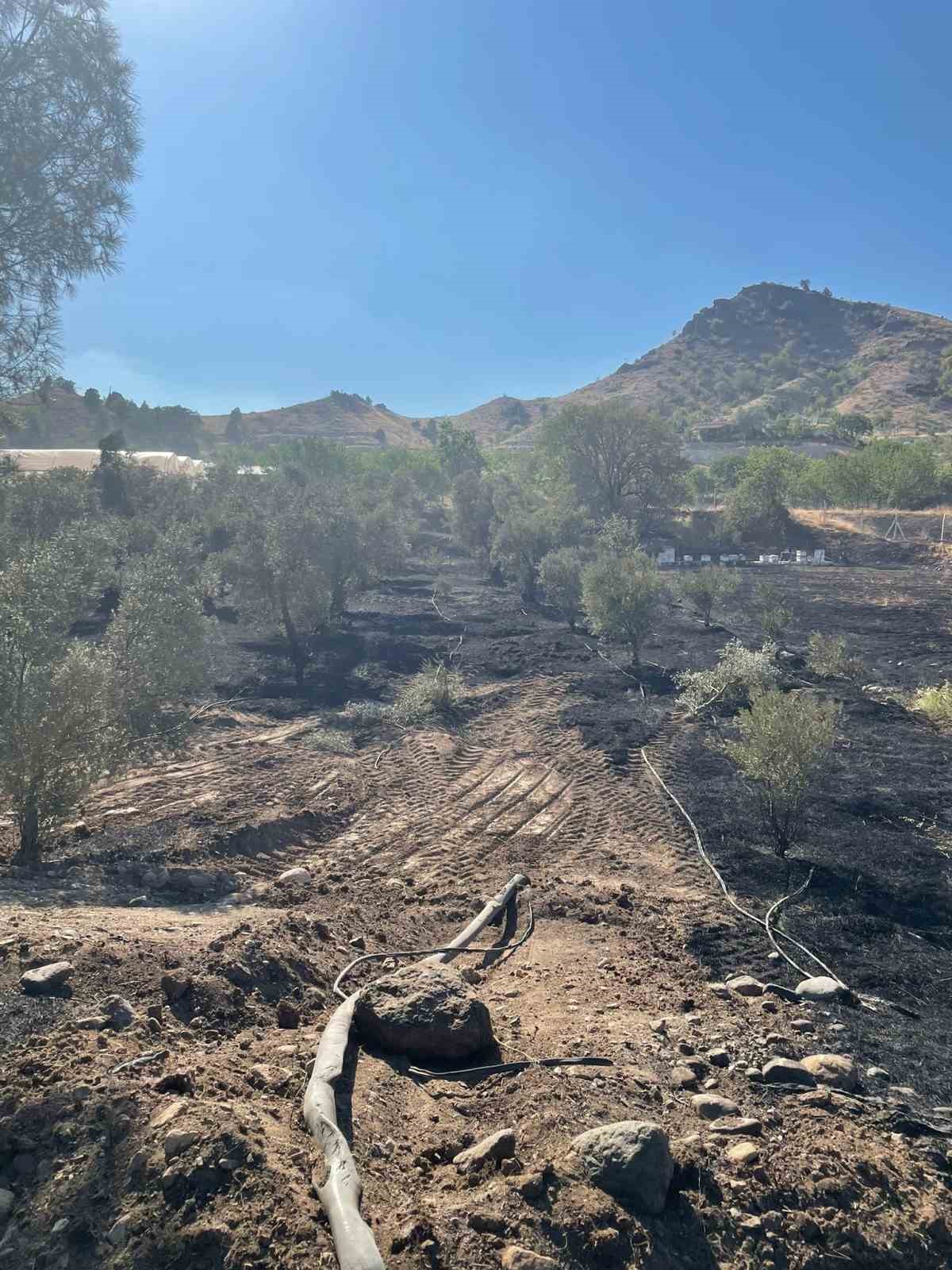 Sarıcakaya’daki ot yangını ormana sıçramadan söndürüldü