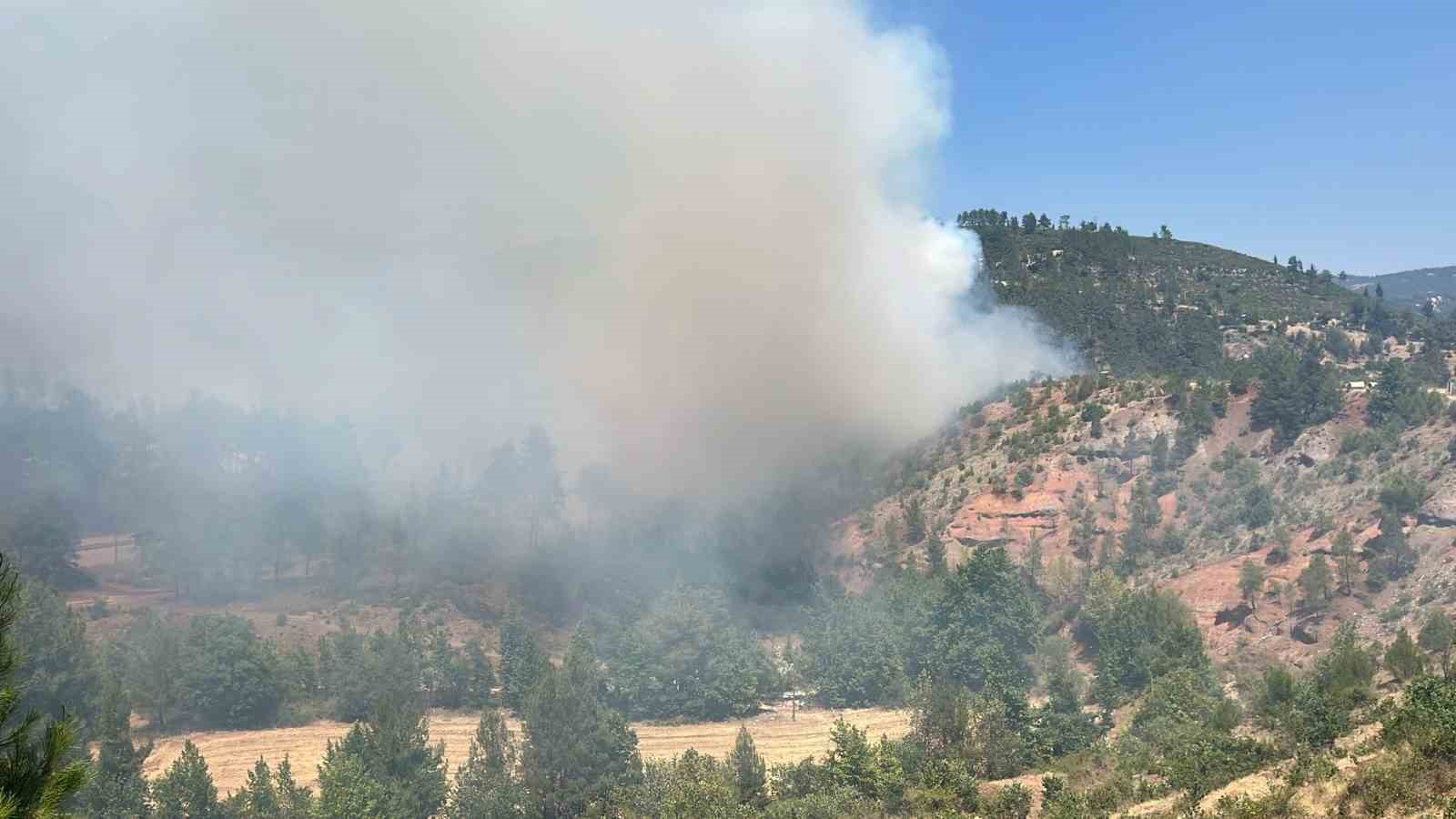Denizli’deki orman yangını kısmen kontrol altına alındı