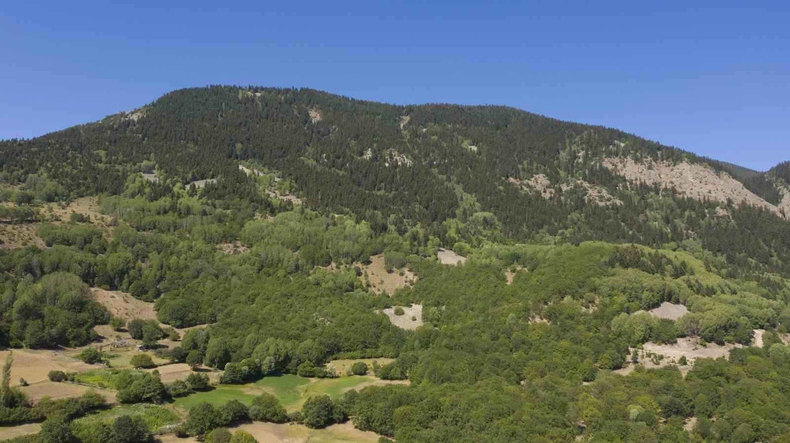 Sivas&rsquo;ta ormanlara giriş yasaklandı
