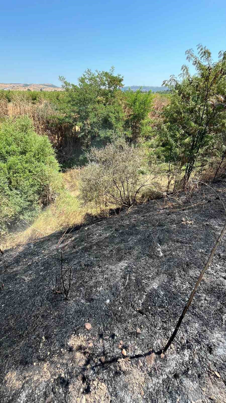 Bandırma&rsquo;da otluk alanda &ccedil;ıkan yangın kontrol altına alındı
