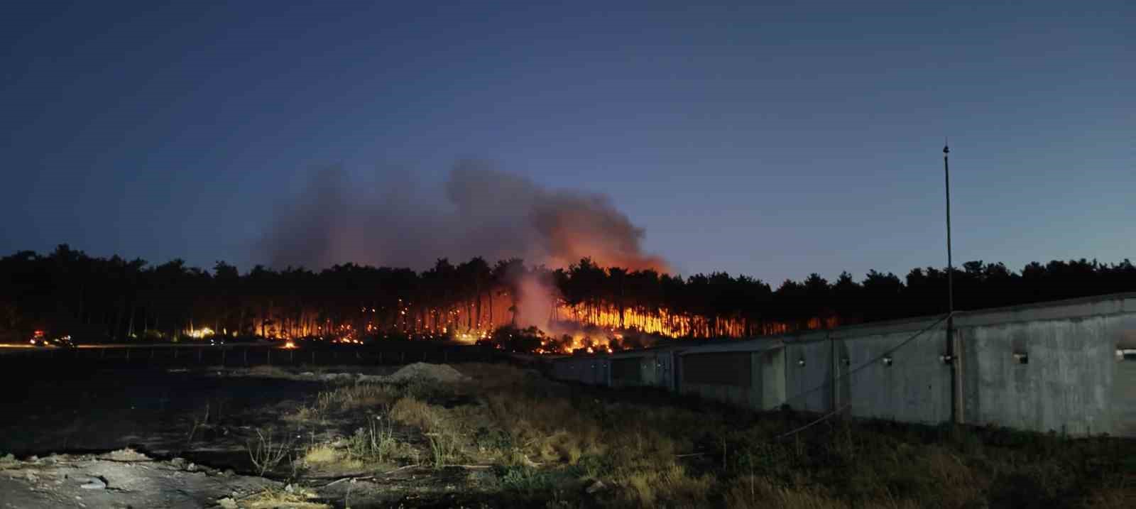 Balıkesir Savaştepe’de çıkan orman yangınına müdahale sürüyor