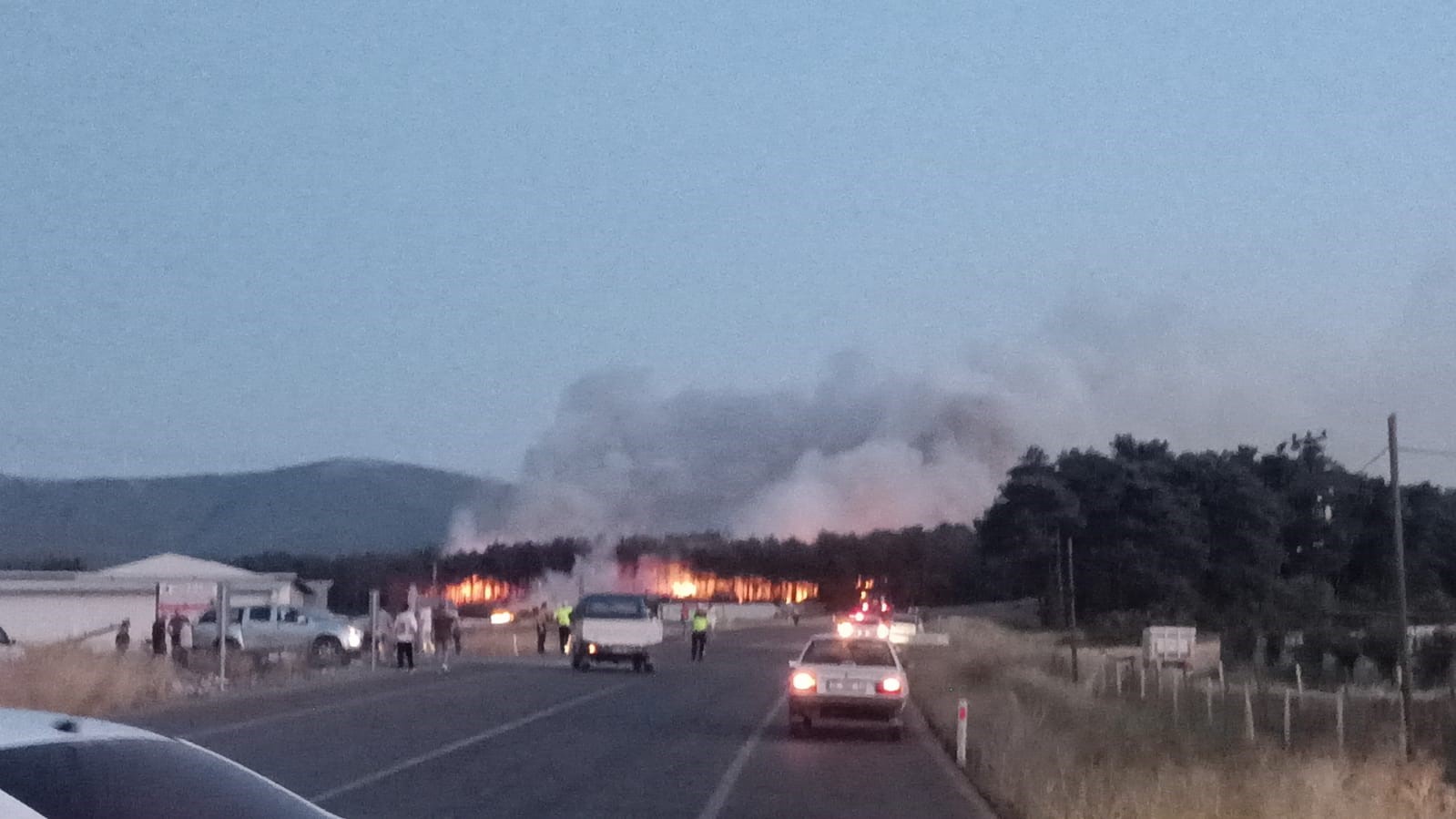Balıkesir Savaştepe&rsquo;de &ccedil;ıkan orman yangınına m&uuml;dahale s&uuml;r&uuml;yor
