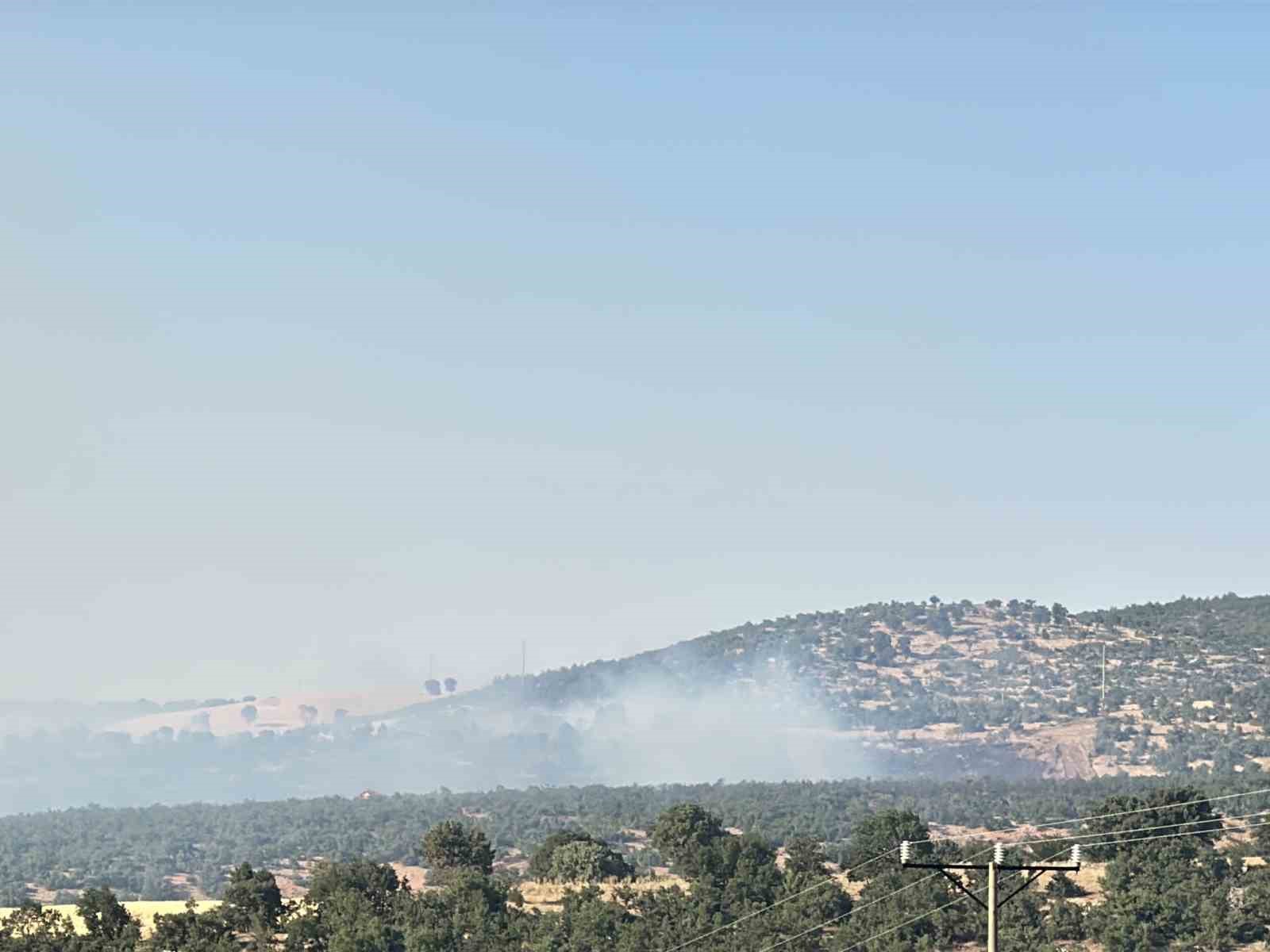 Uşak’taki meşelik alandaki yangına karadan müdahale devam ediyor