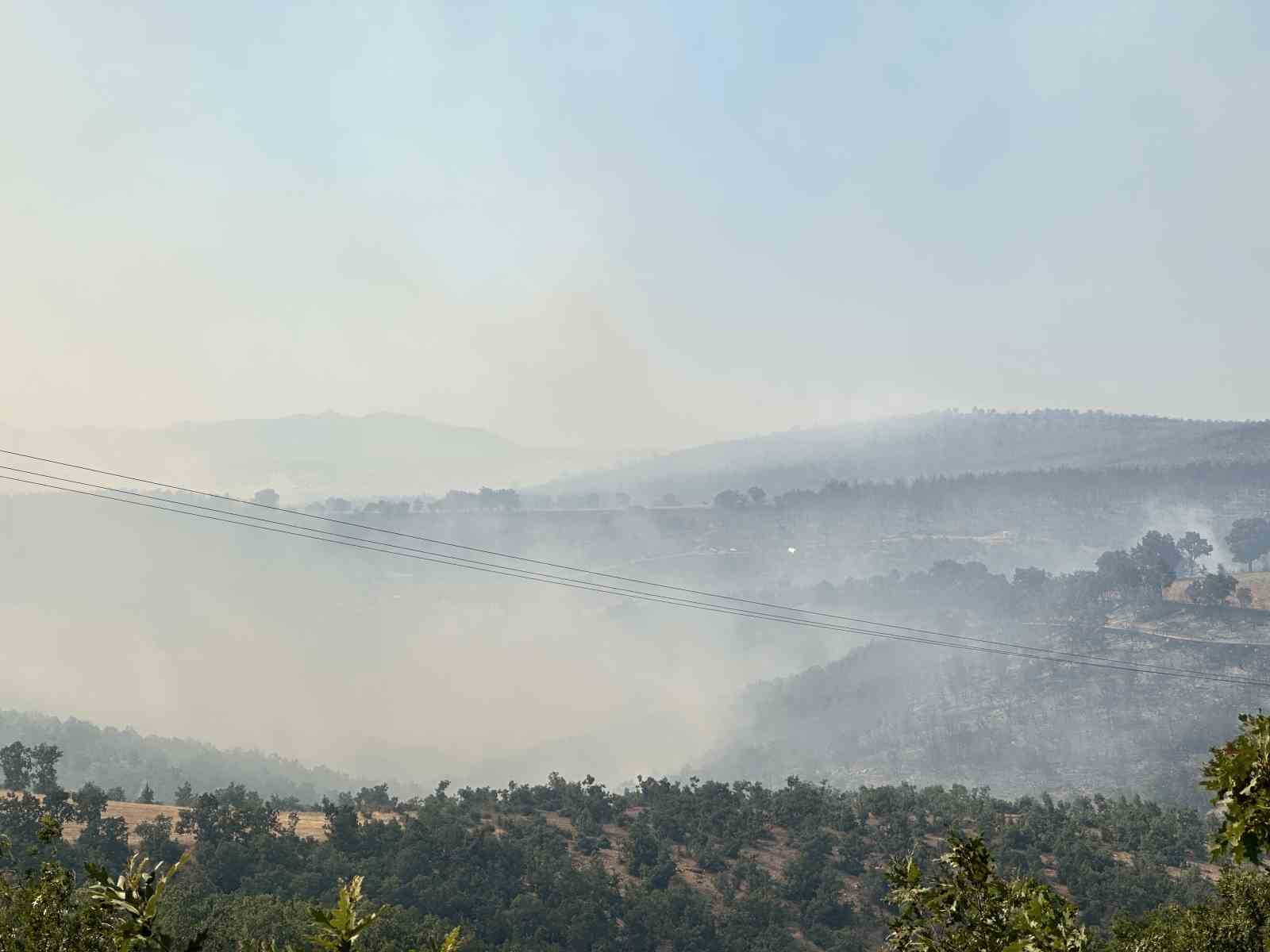 Uşak&rsquo;taki meşelik alandaki yangına karadan m&uuml;dahale devam ediyor
