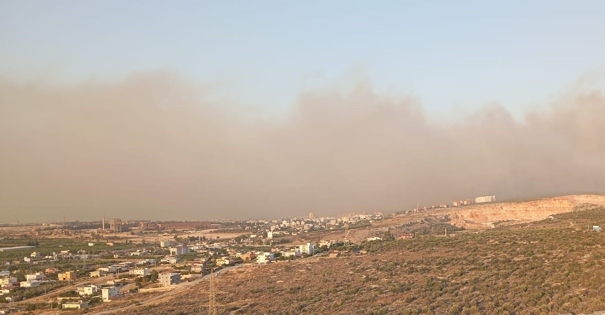 Mersin’de orman yangını