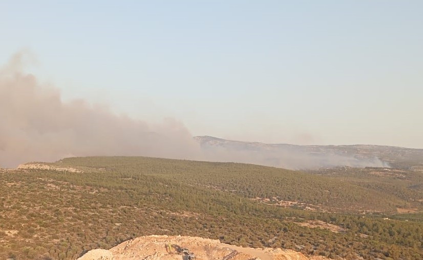 Mersin&rsquo;de orman yangını
