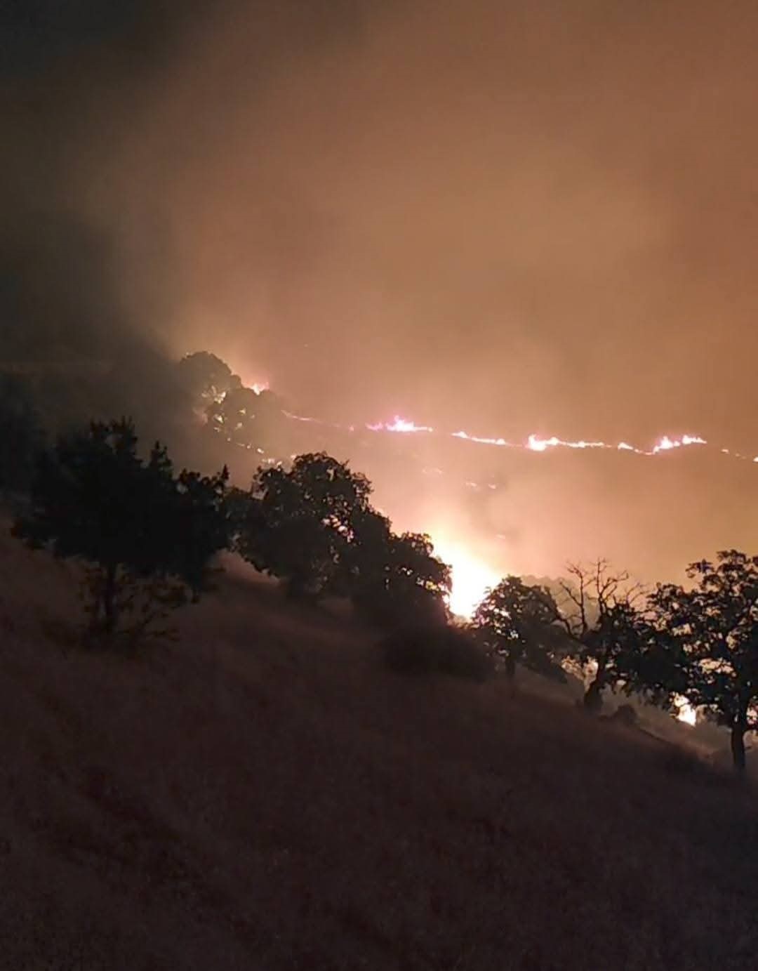 Manisa’nın Köprübaşı ilçesinde de orman yangını başladı