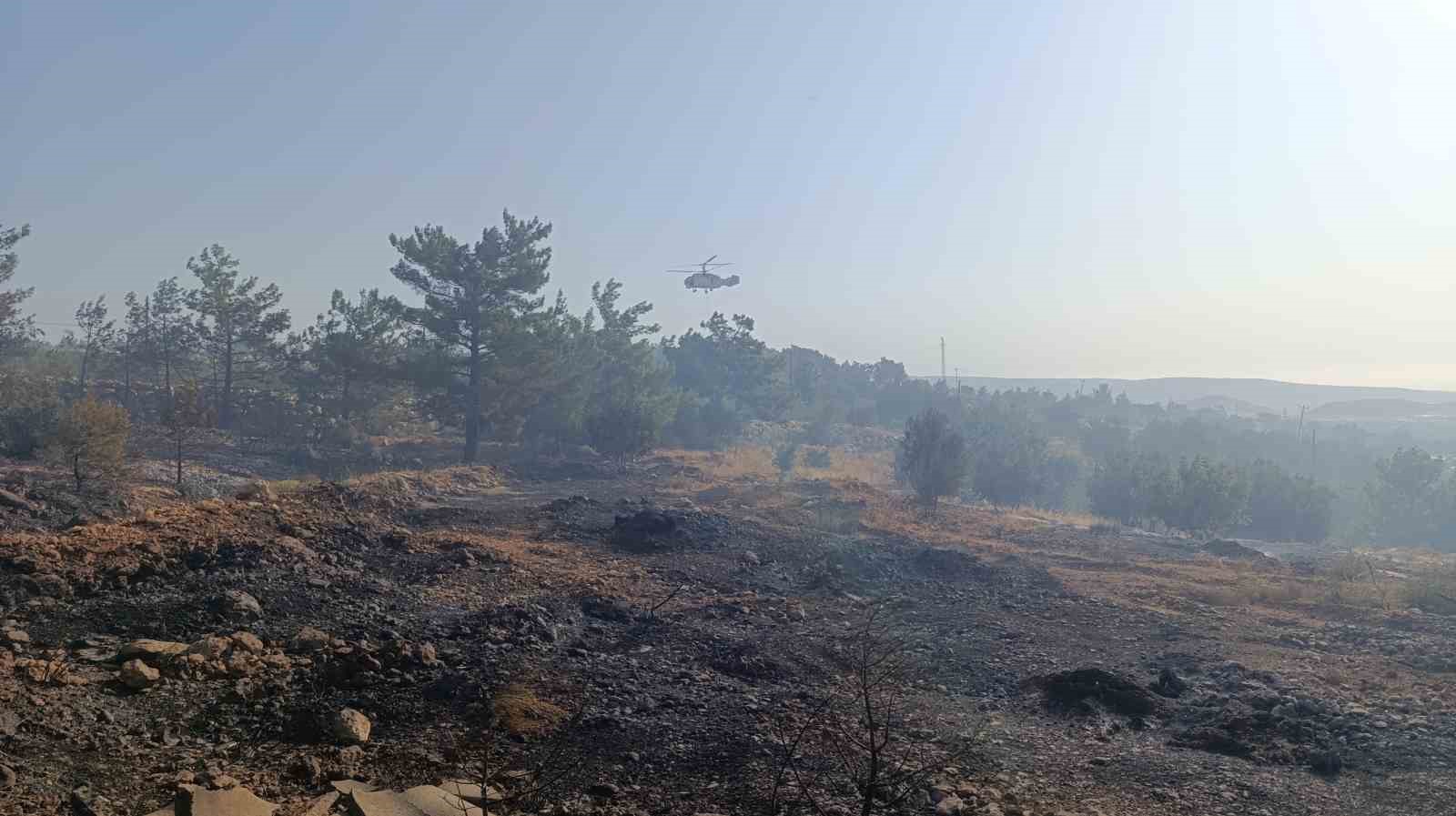 Mersin’deki orman yangını: Havadan müdahale başladı