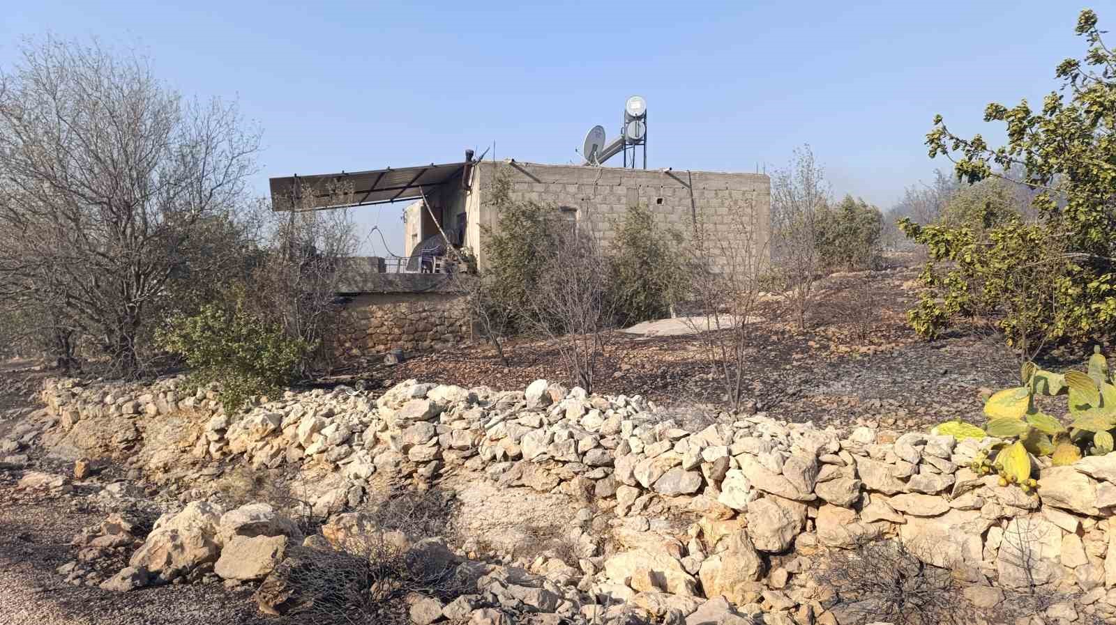 Mersin&rsquo;deki orman yangını: Havadan m&uuml;dahale başladı
