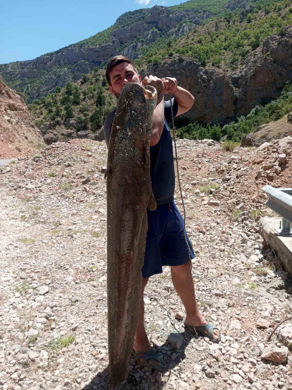 Ardanuç’ta baraj gölünde dev yayın balıkları yakalandı