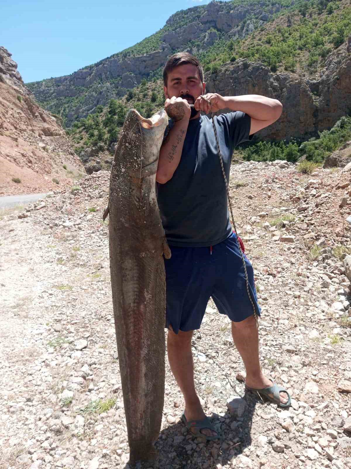 Ardanuç’ta baraj gölünde dev yayın balıkları yakalandı

