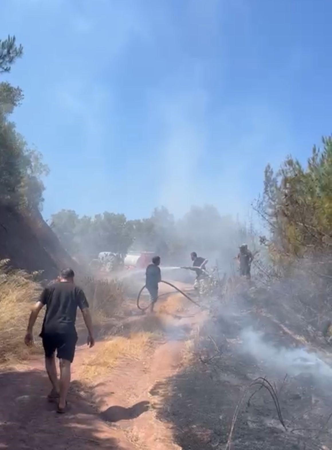 Bursa&rsquo;da korkutan orman yangını.
