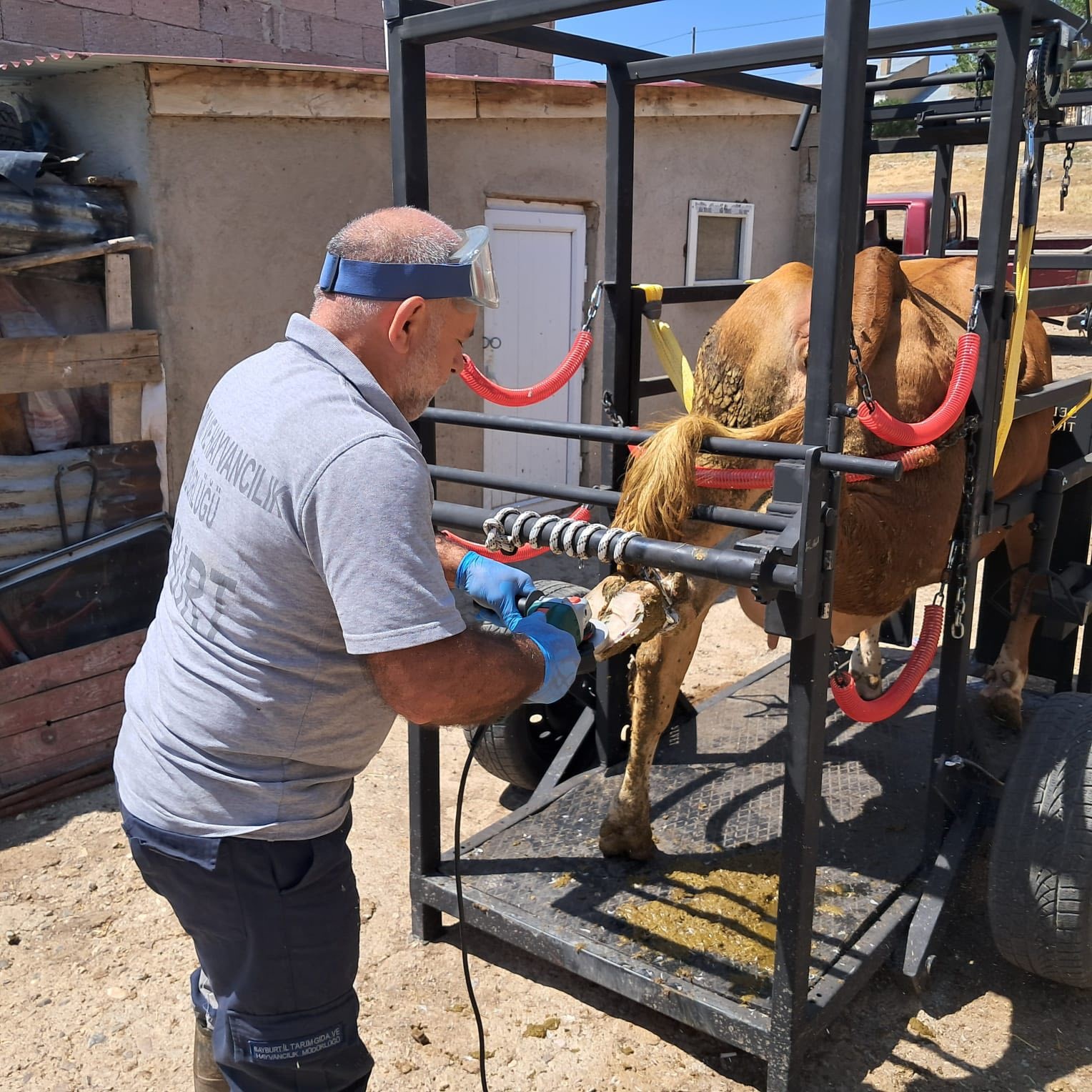 Aydıntepe’de Travay Projesi kapsamında ilk saha uygulaması yapıldı