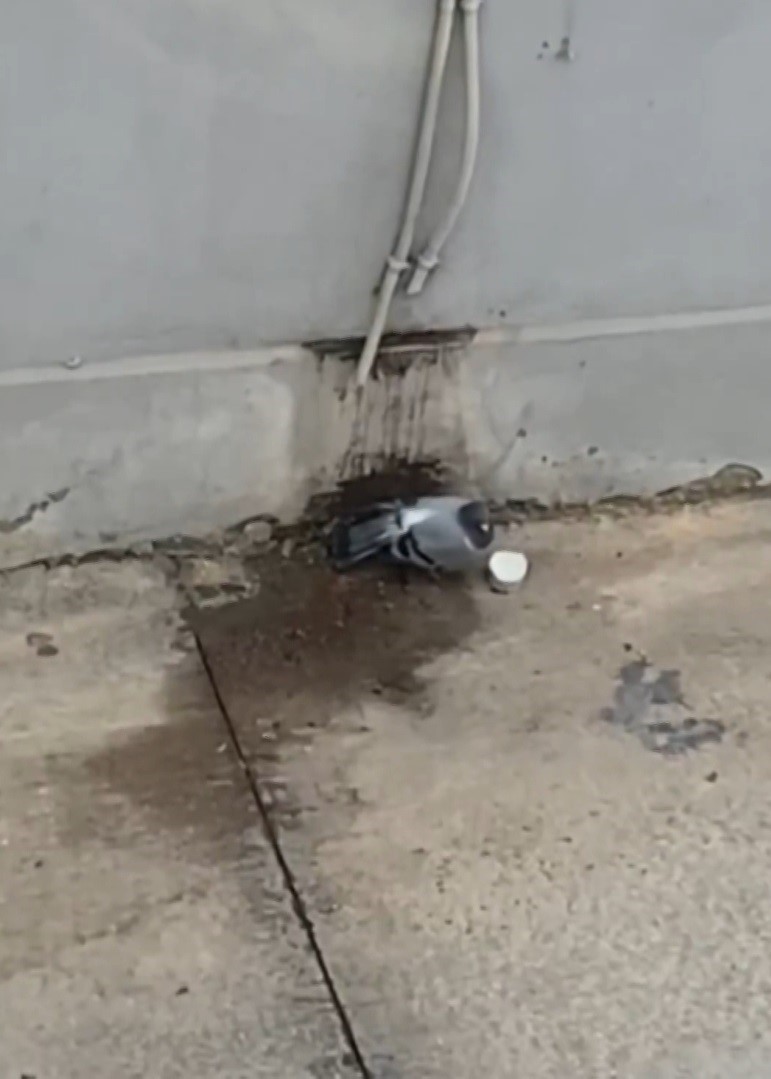 Sıcaktan bunalan g&uuml;vercine polisten yardım eli
