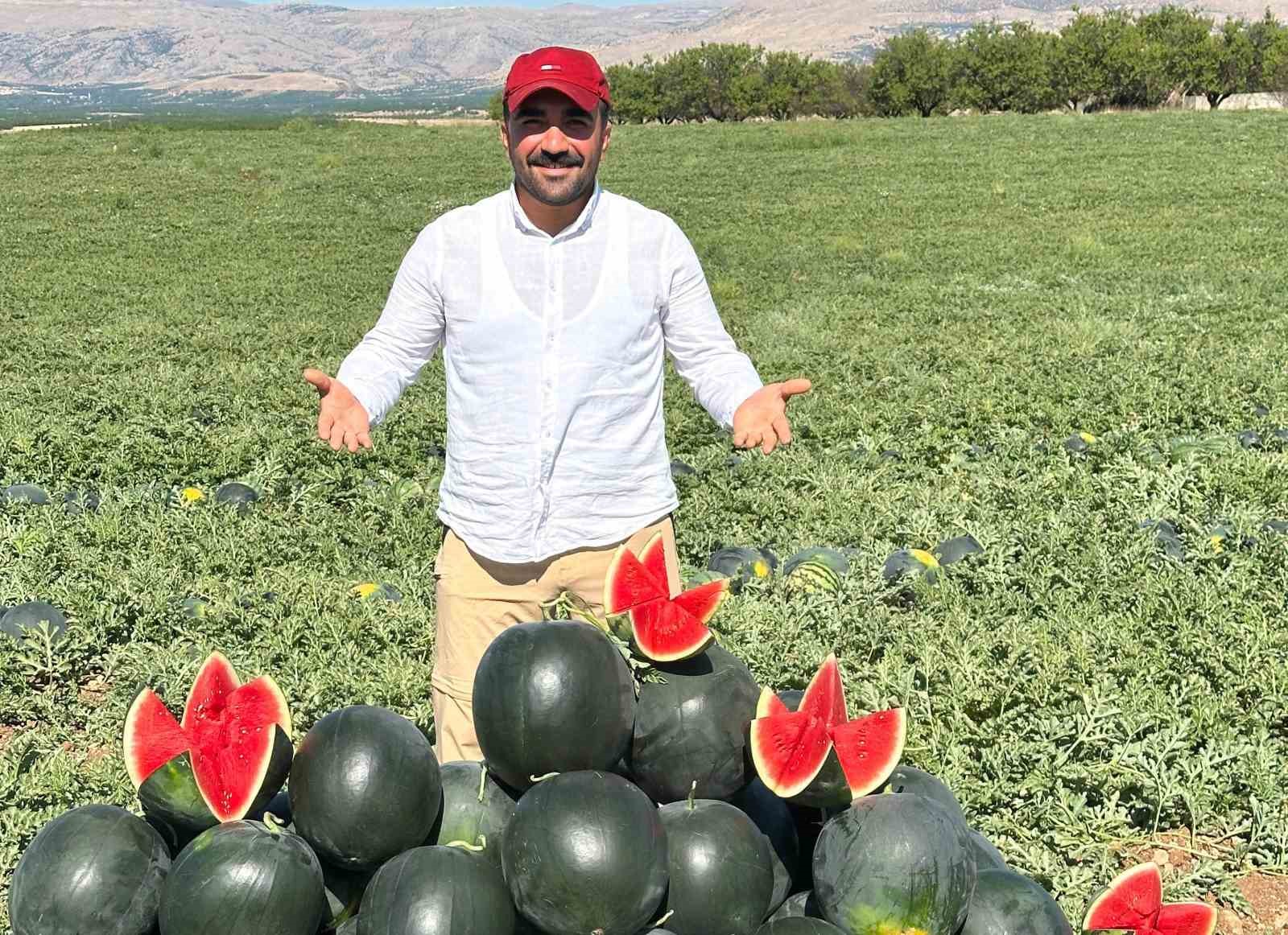 Malatya’da karpuz ve kavun hasadı yüz güldürüyor