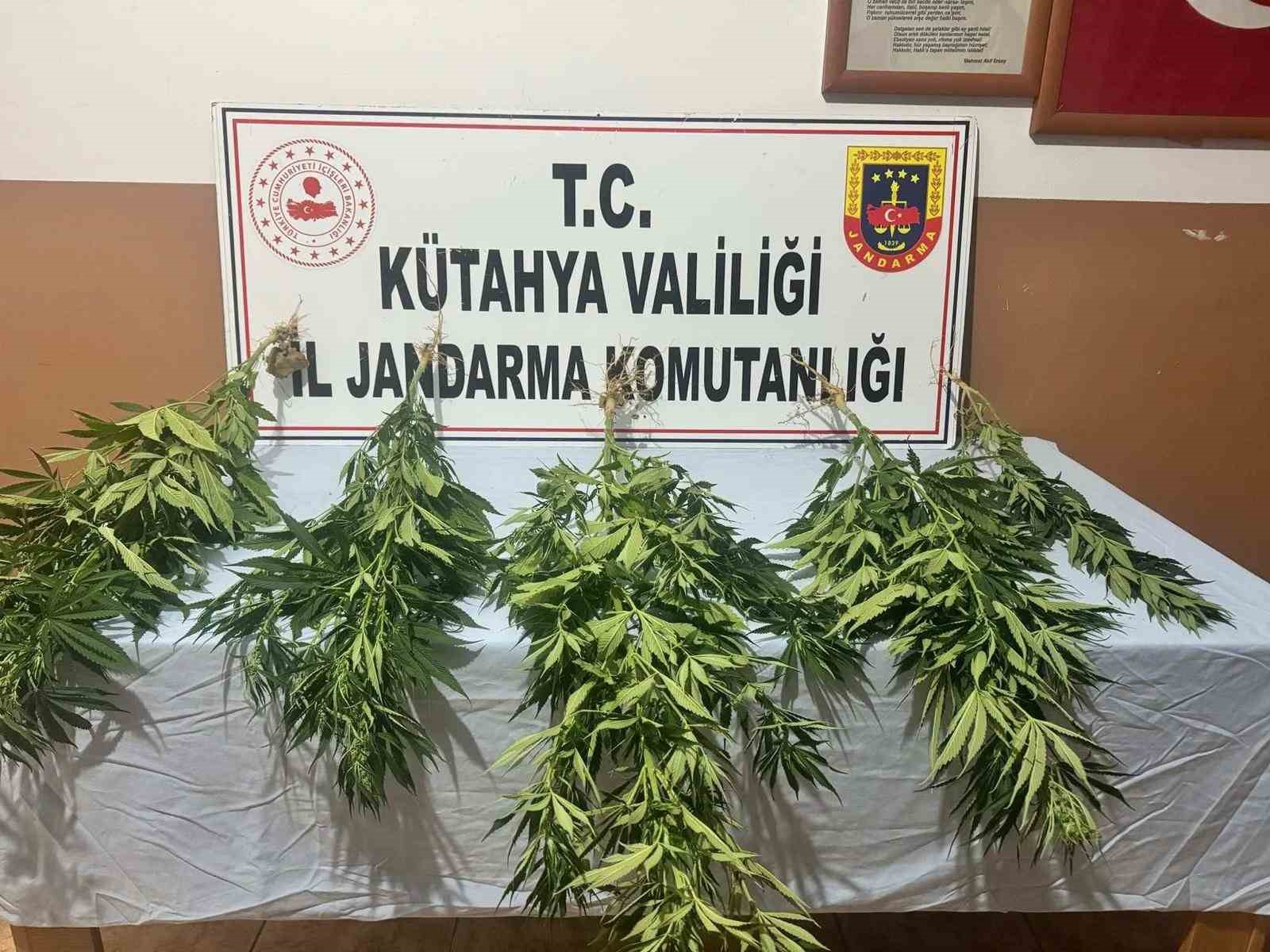Kütahya’da jandarmadan uyuşturucu operasyonu: 2 gözaltı