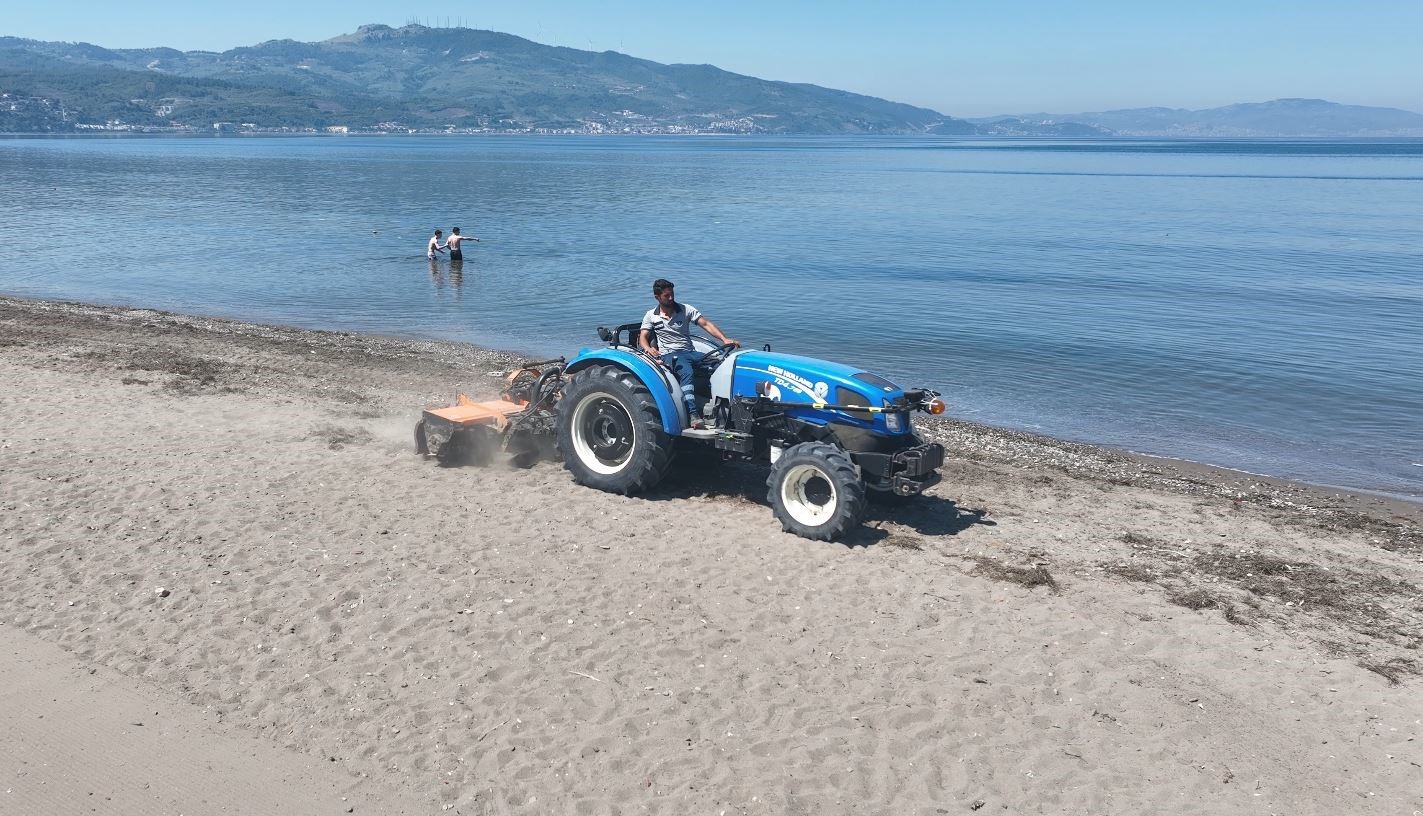 Bursa sahillerinden sevindiren haber