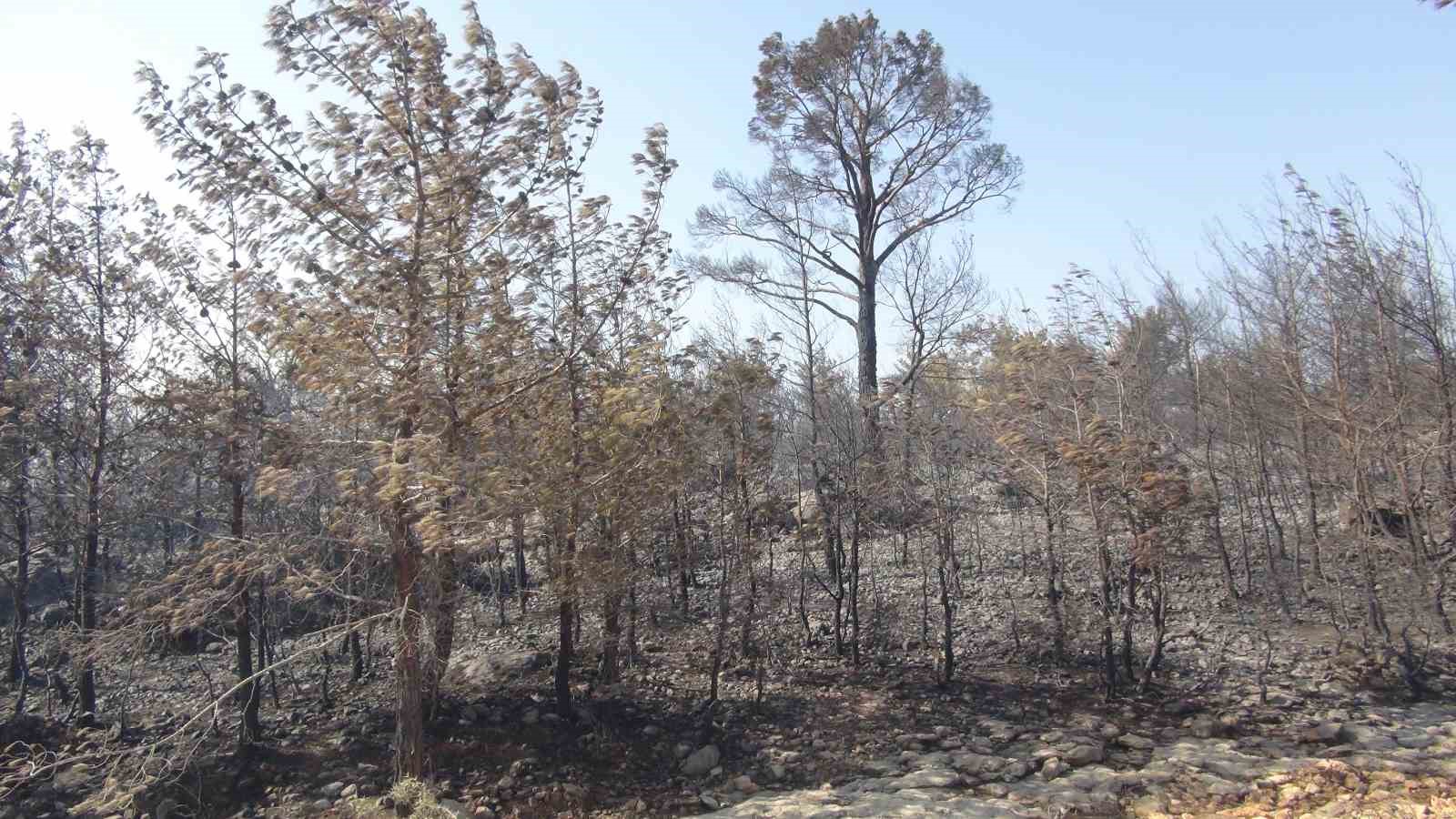 Mersin&rsquo;deki orman yangınına 3 helikopter ve araz&ouml;zlerle m&uuml;dahale ediliyor
