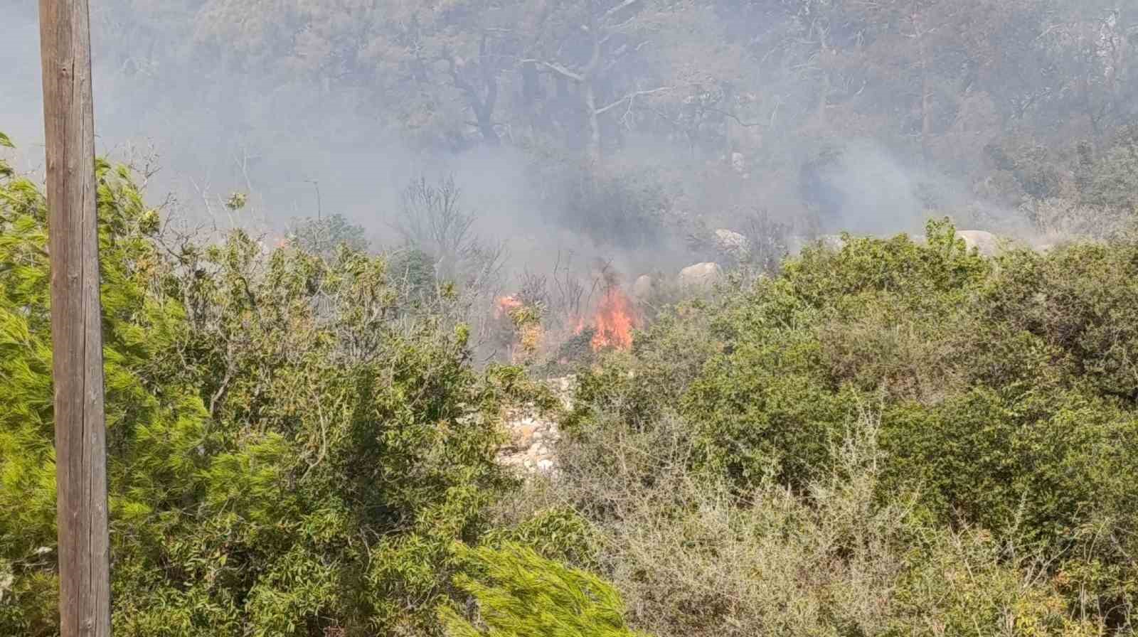Mersin&rsquo;deki orman yangını nedeniyle 4 mahalle boşaltıldı
