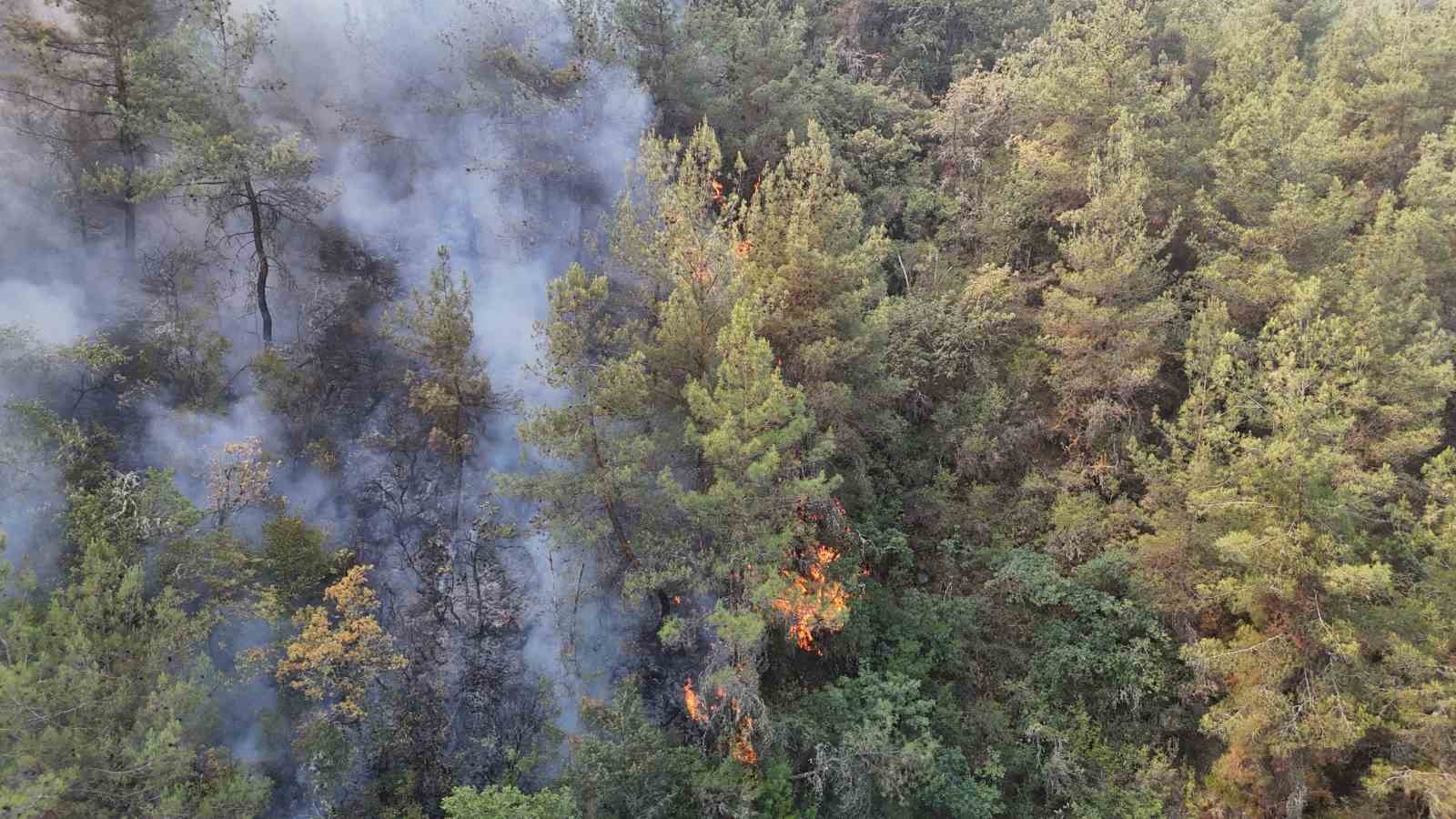 Karabük’te orman yangını 69 saattir sürüyor