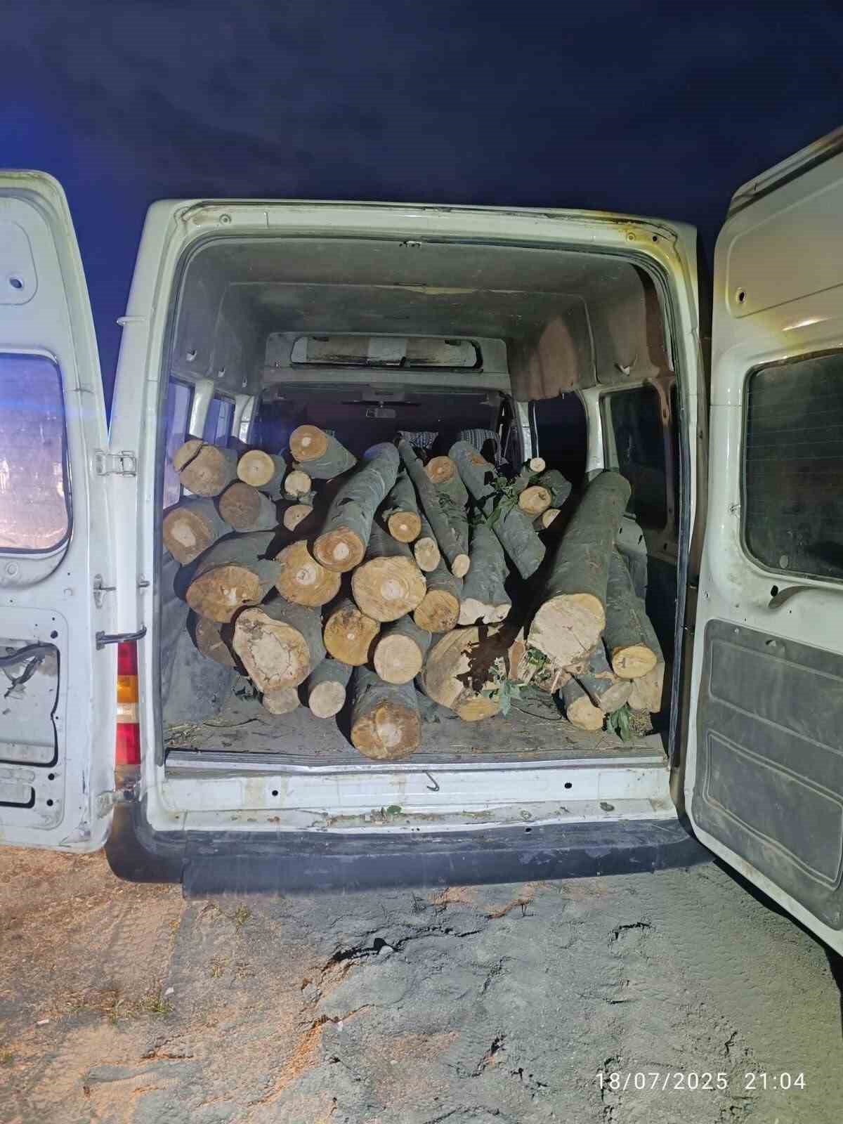 1 ton kaçak orman ürünü ele geçirildi