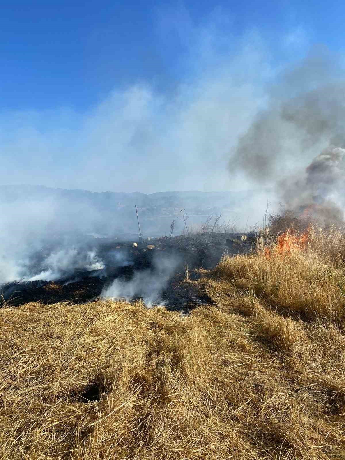 Sinop&rsquo;ta anız yangını: 60 balya saman k&uuml;l oldu
