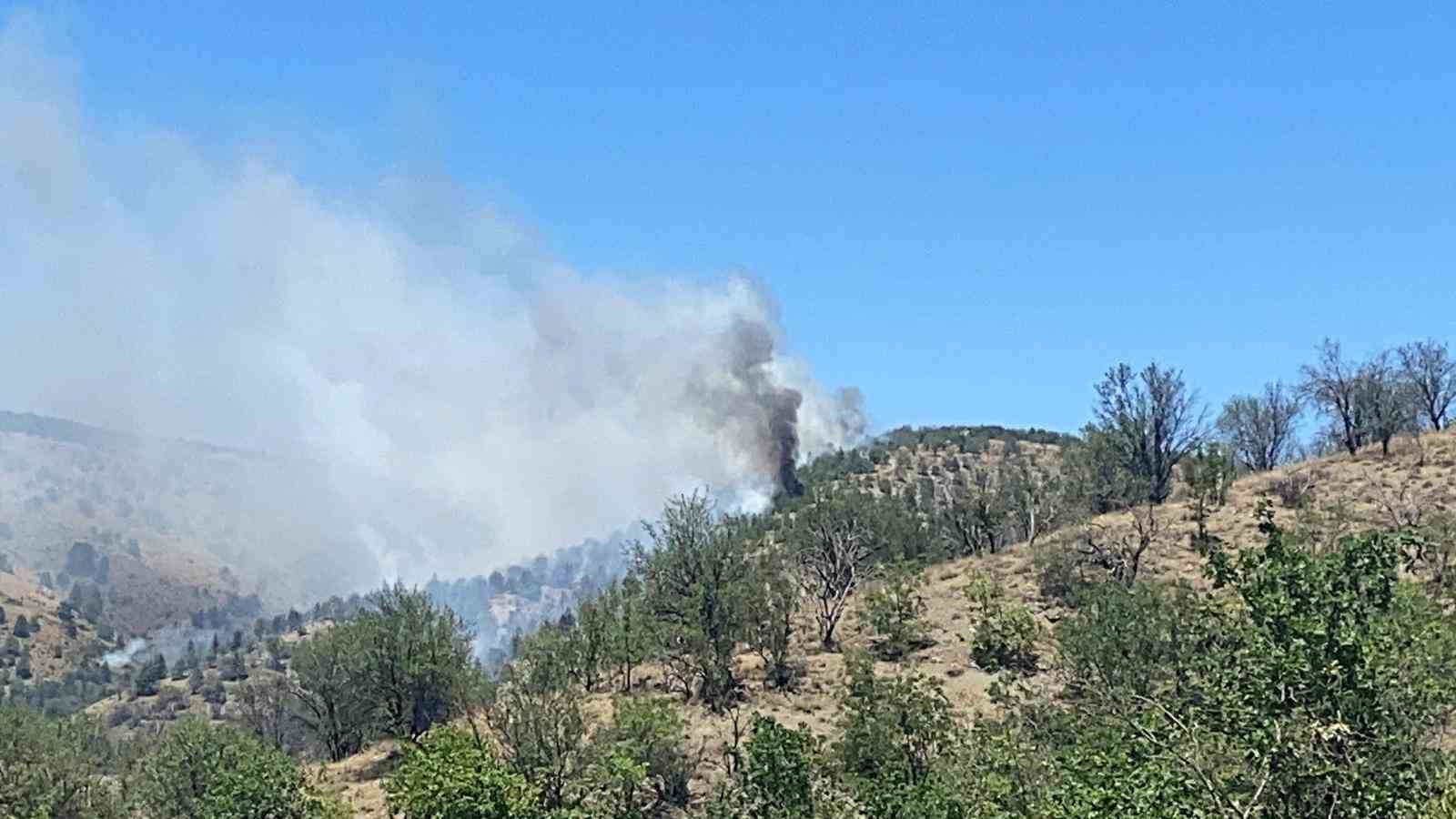 Ankara’da ormanlık alanda yangın çıktı