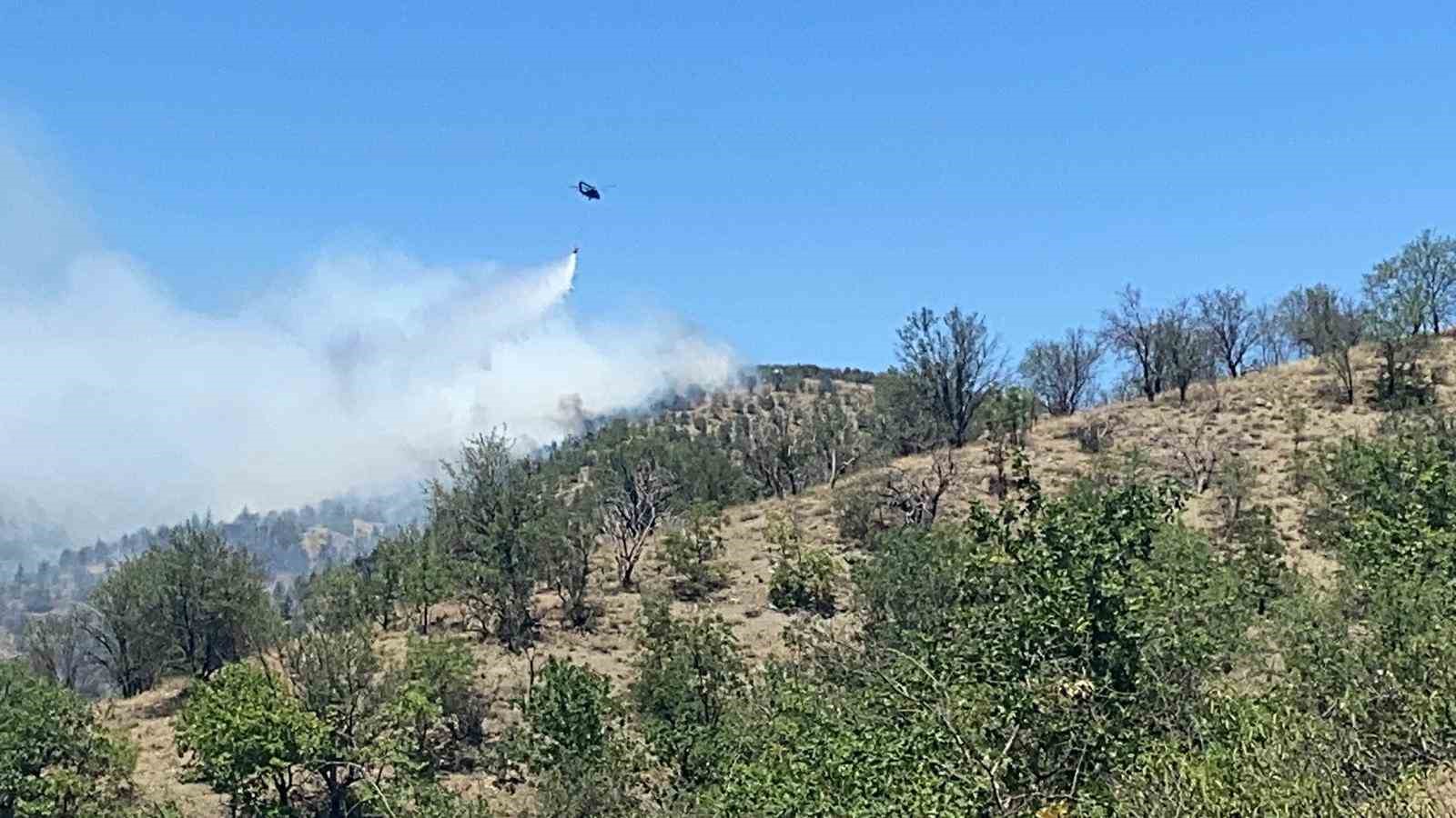 Ankara&rsquo;da ormanlık alanda yangın &ccedil;ıktı
