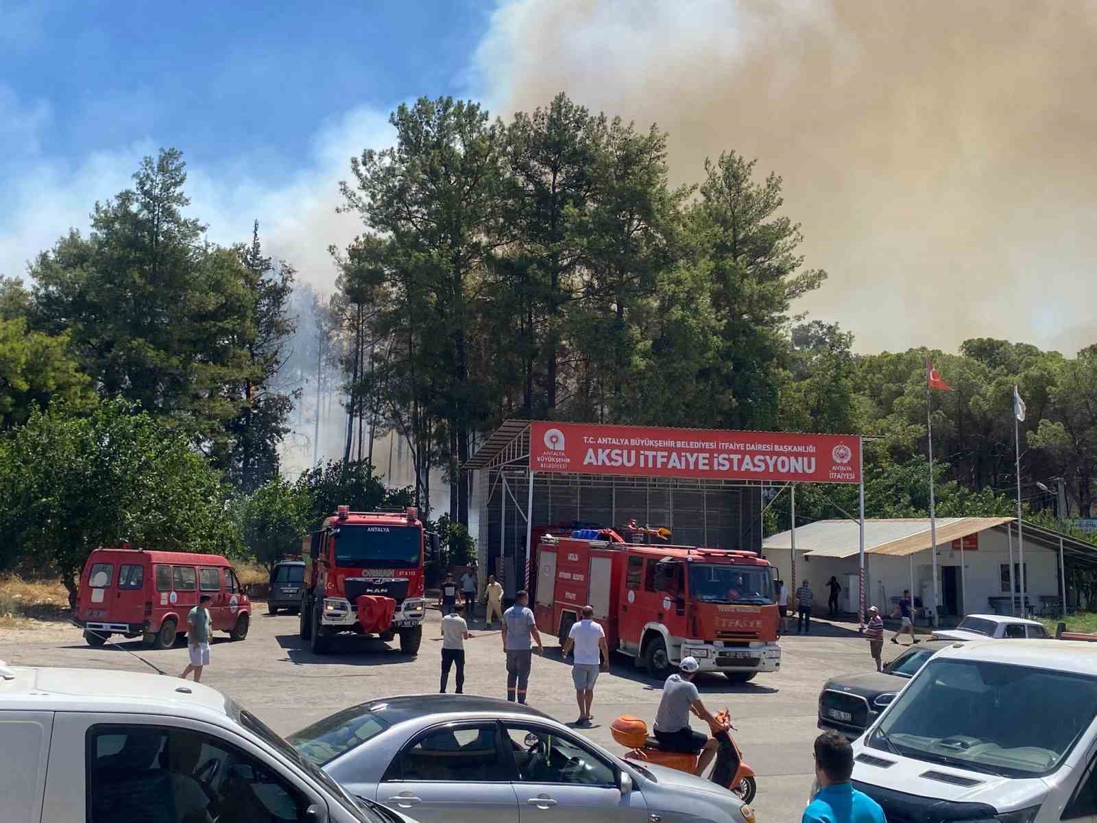 Antalya’da ormanlık alanda yangın paniği
