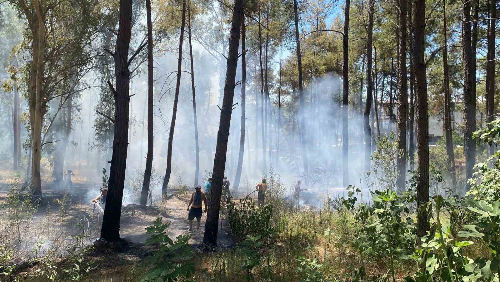 Antalya&rsquo;da ormanlık alanda yangın paniği
