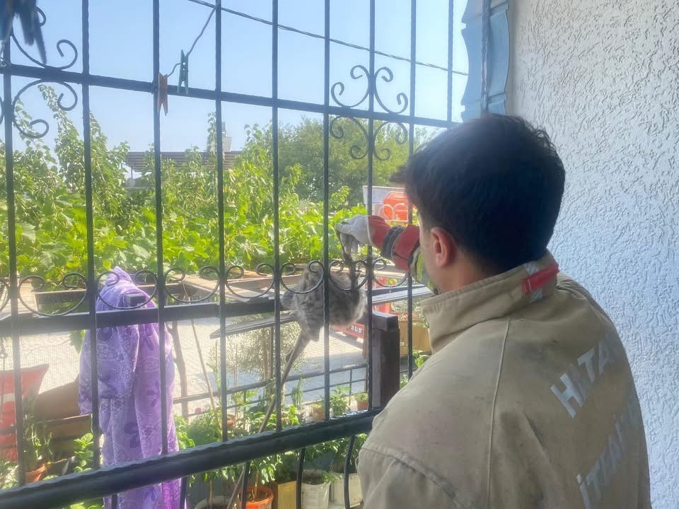 Balkon korkuluklarına sıkışan kediyi itfaiye ekipleri kurtardı
